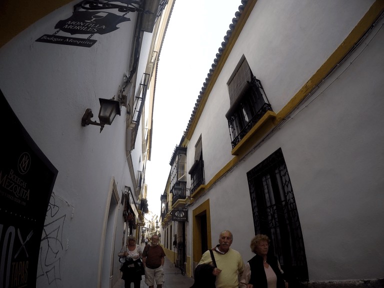 Calleja de las Flores, España