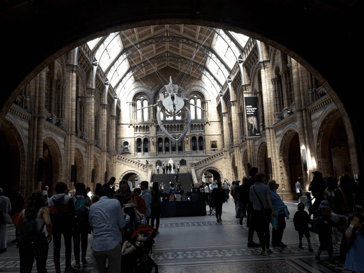 Natural History Museum, Londres