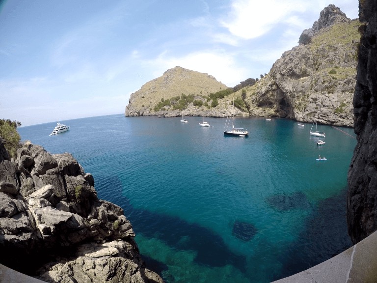 ¿Qué ver en Palma de Mallorca?