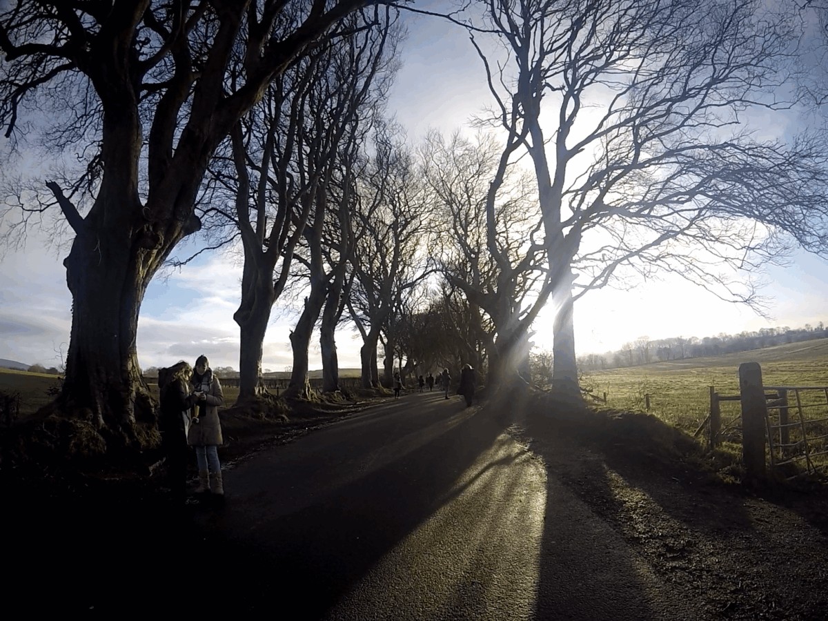 The Dark Hedge - Irlanda del Norte