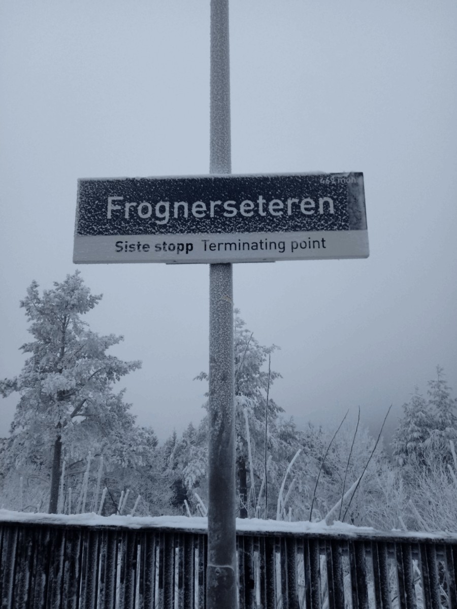La línea uno de metro yendo para Frognerseteren, Oslo