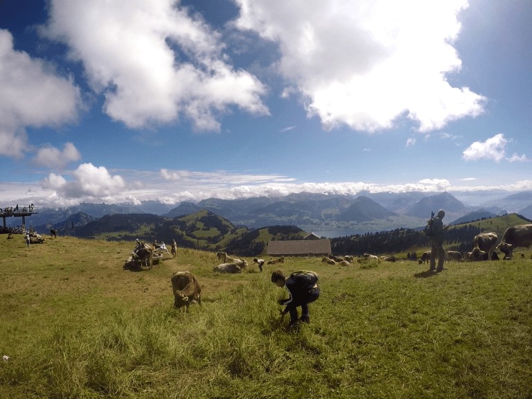 Viaje de Lucerna a Pilatus Berg