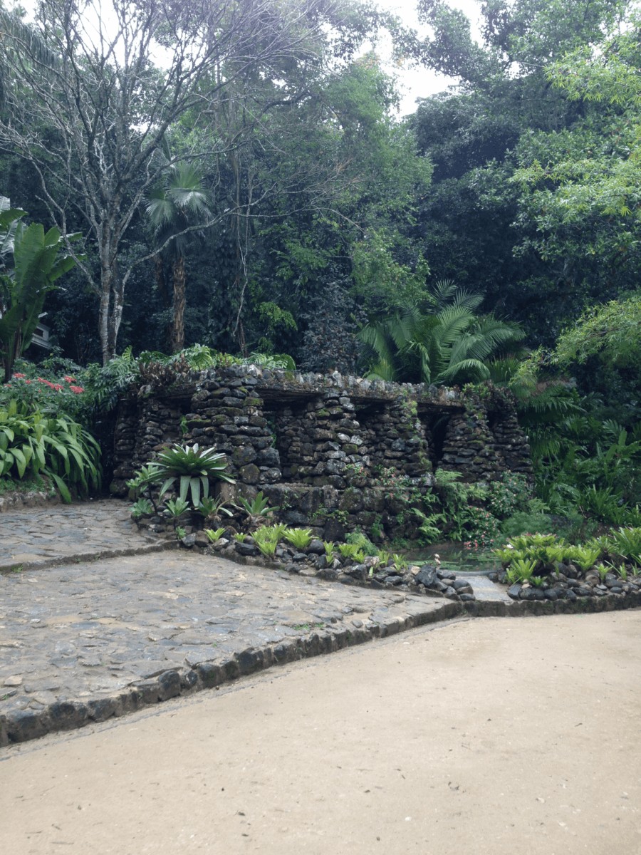 Jardín Botánico - Brasil