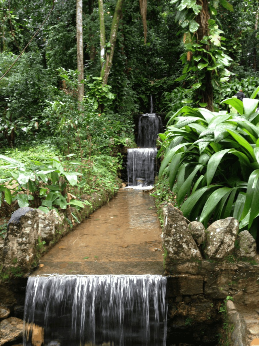 Jardín Botánico de Rio de Janeiro