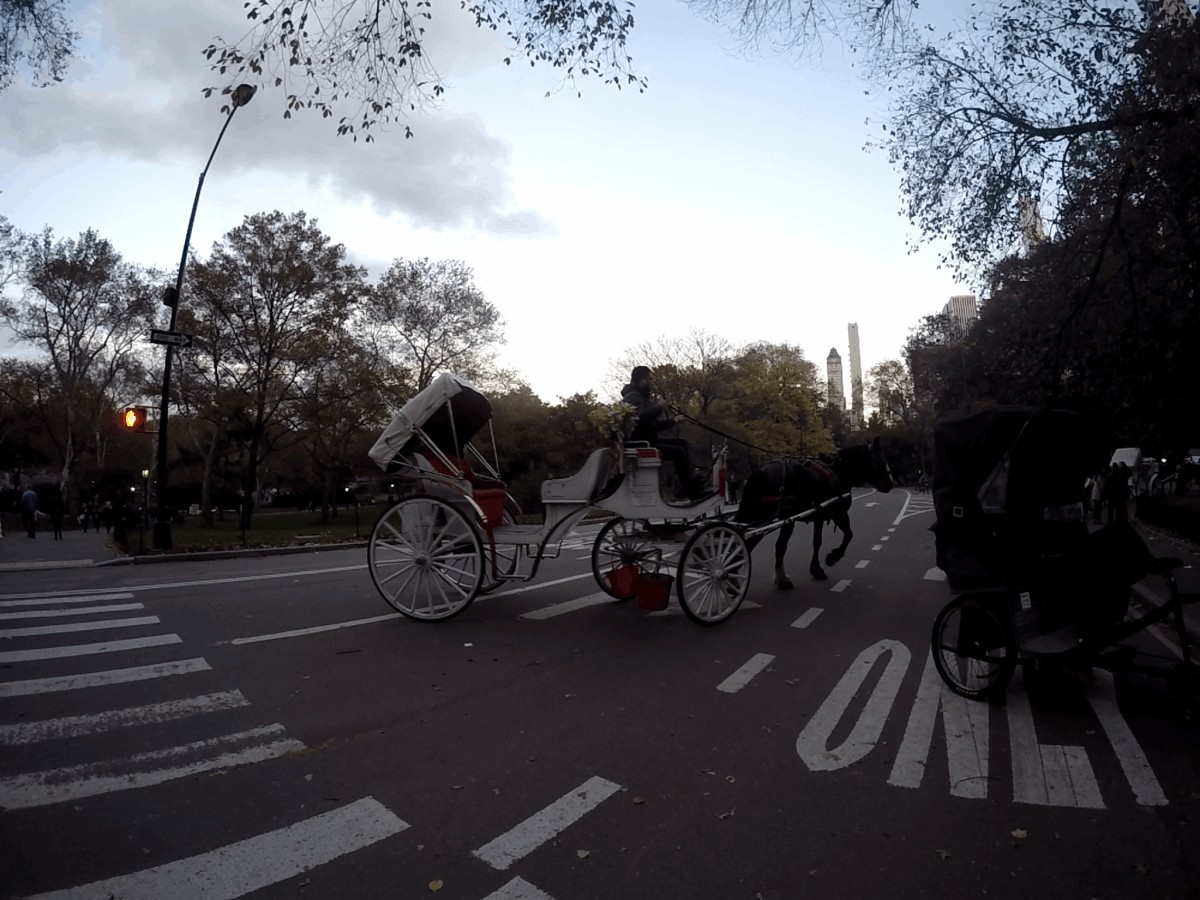 Central Park, Nueva York