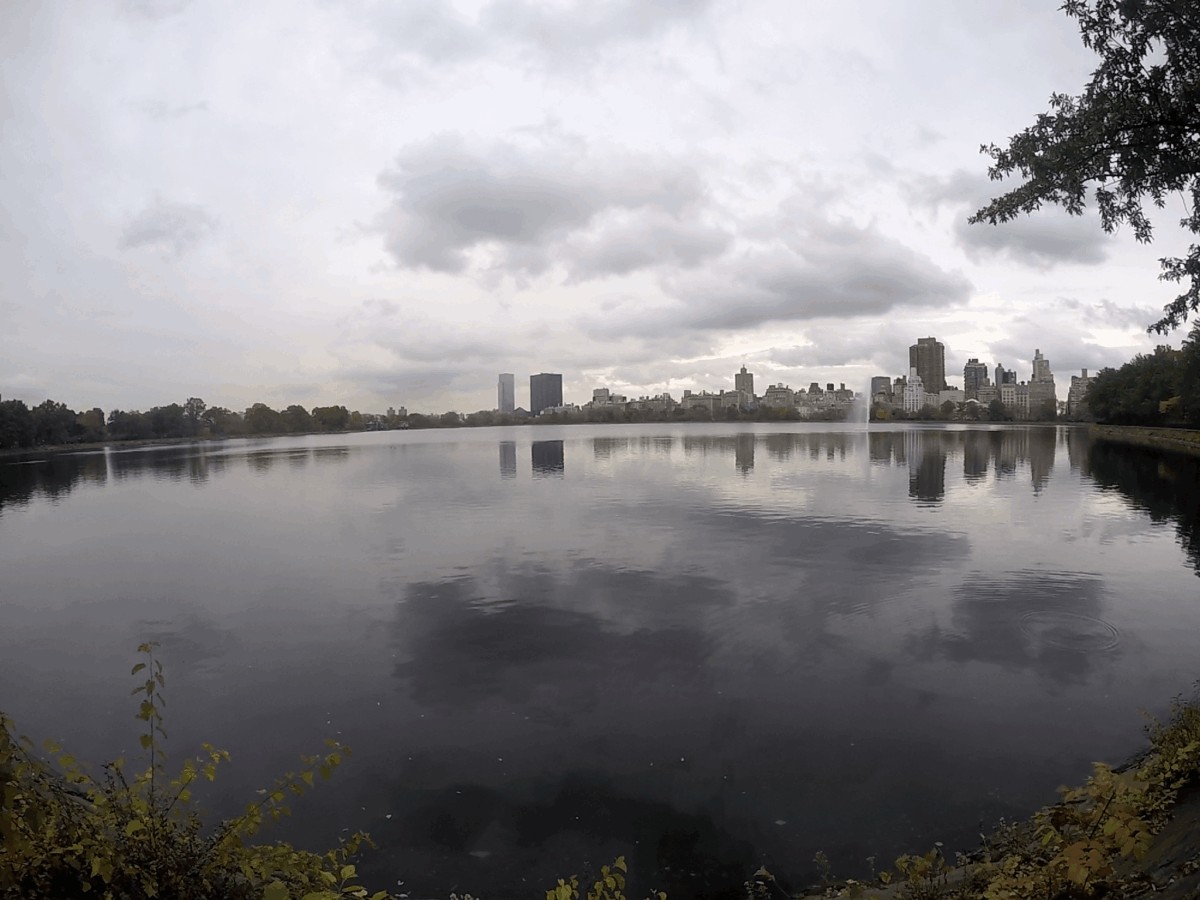 Qué hacer en Central Park