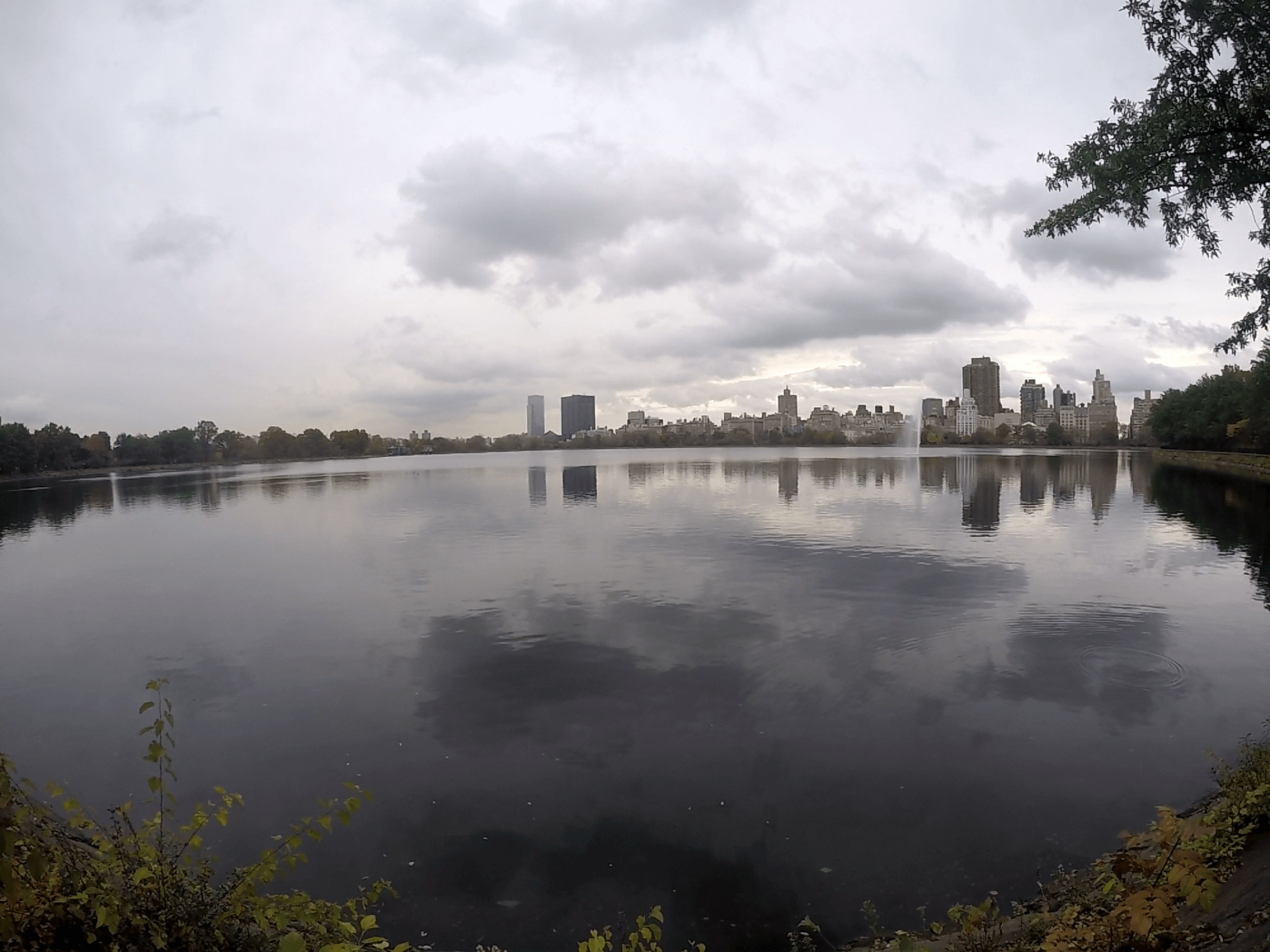 Qué hacer en Central Park