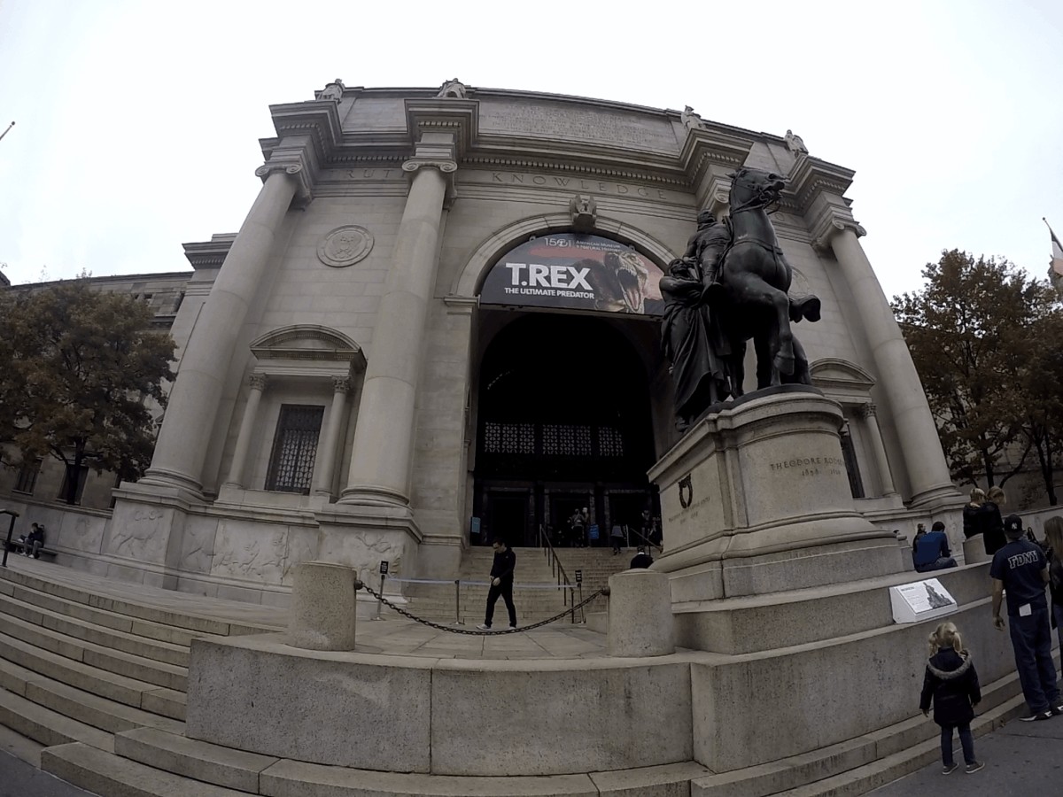 Museo Americano de Historia Natural, Nueva York
