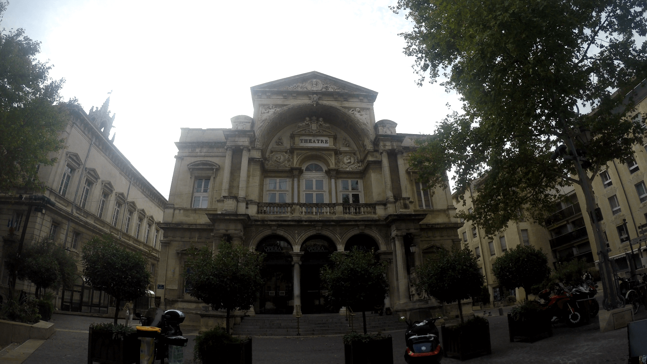 ¿Por qué viajé a Avignon?