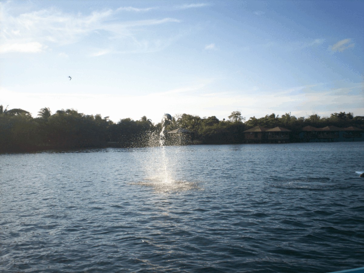 Roatan, Honduras - Qué hacer en Roatán al bajar del crucero