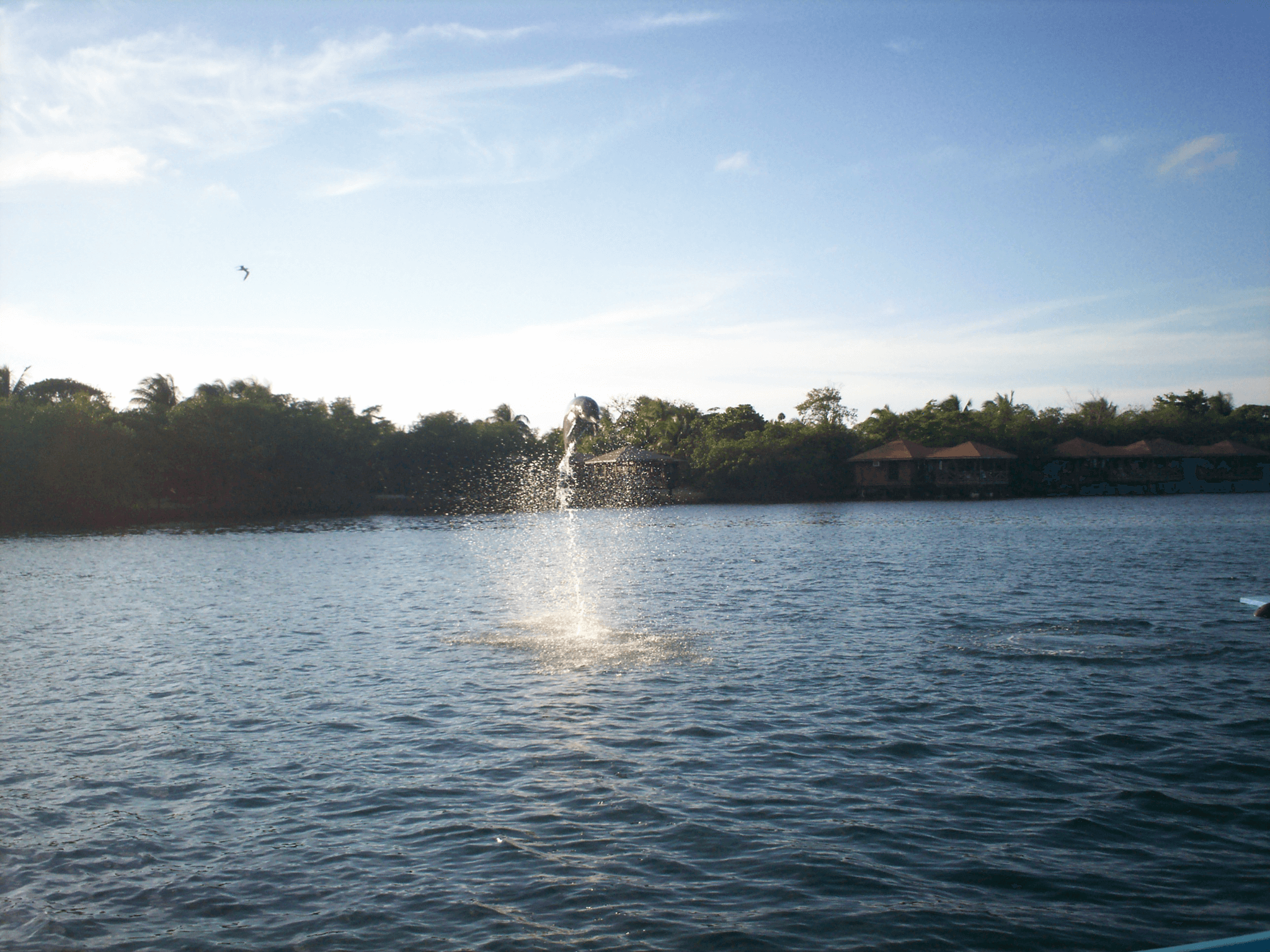 Roatan, Honduras - Qué hacer en Roatán al bajar del crucero