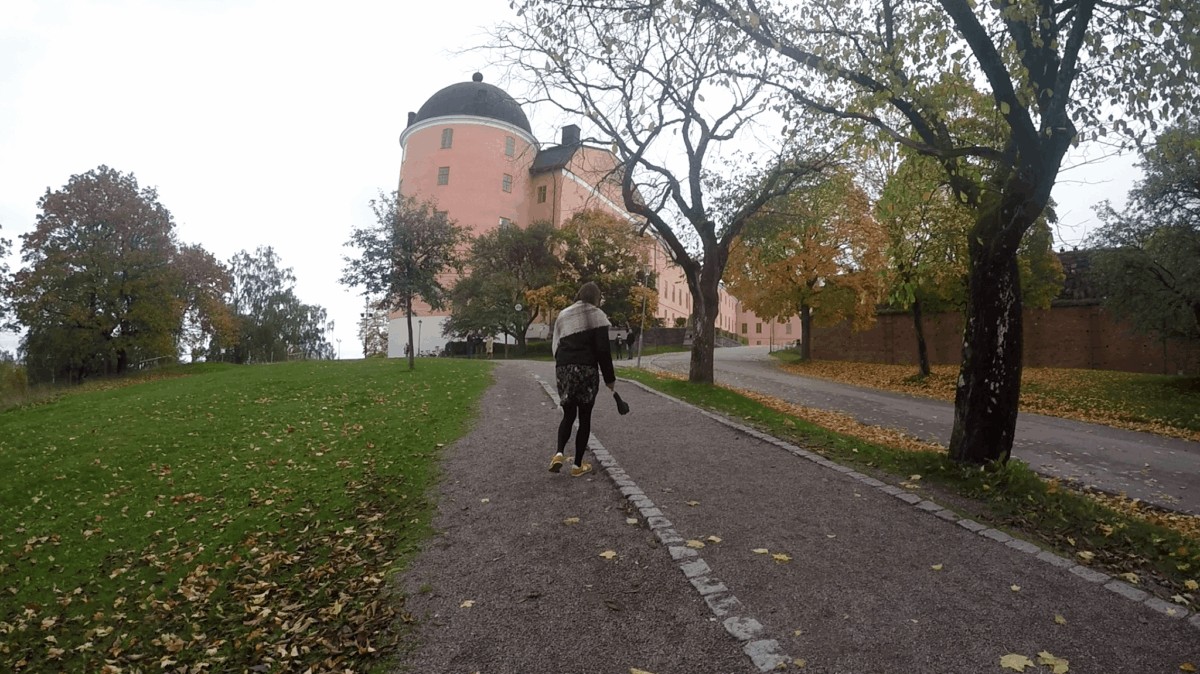 Uppsala: La Ciudad Universitaria de Suecia
