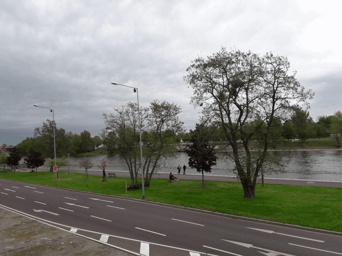 Caminar por el río Elba