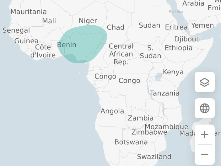 MyHeritage Test de ADN: Nigeria