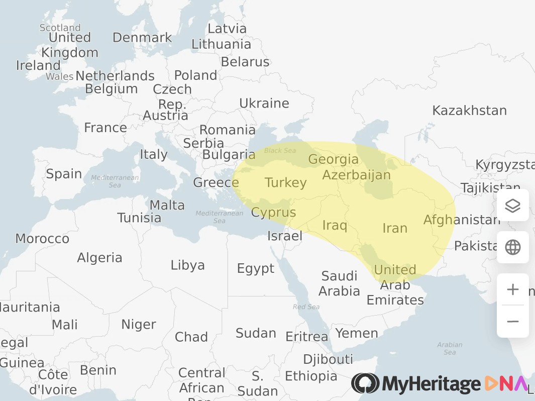 MyHeritage Test de ADN: Asia Occidental