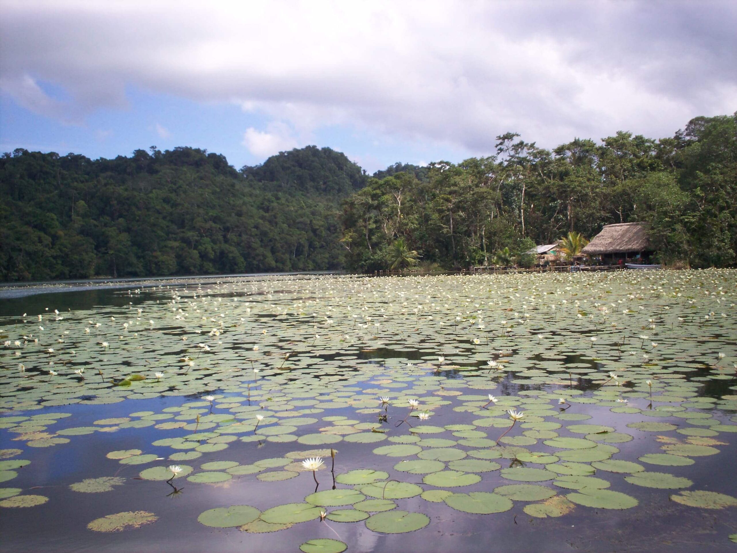 Qu Ver En Livingston Gu A Guatemala   Livingston Guatemala 5 Scaled 