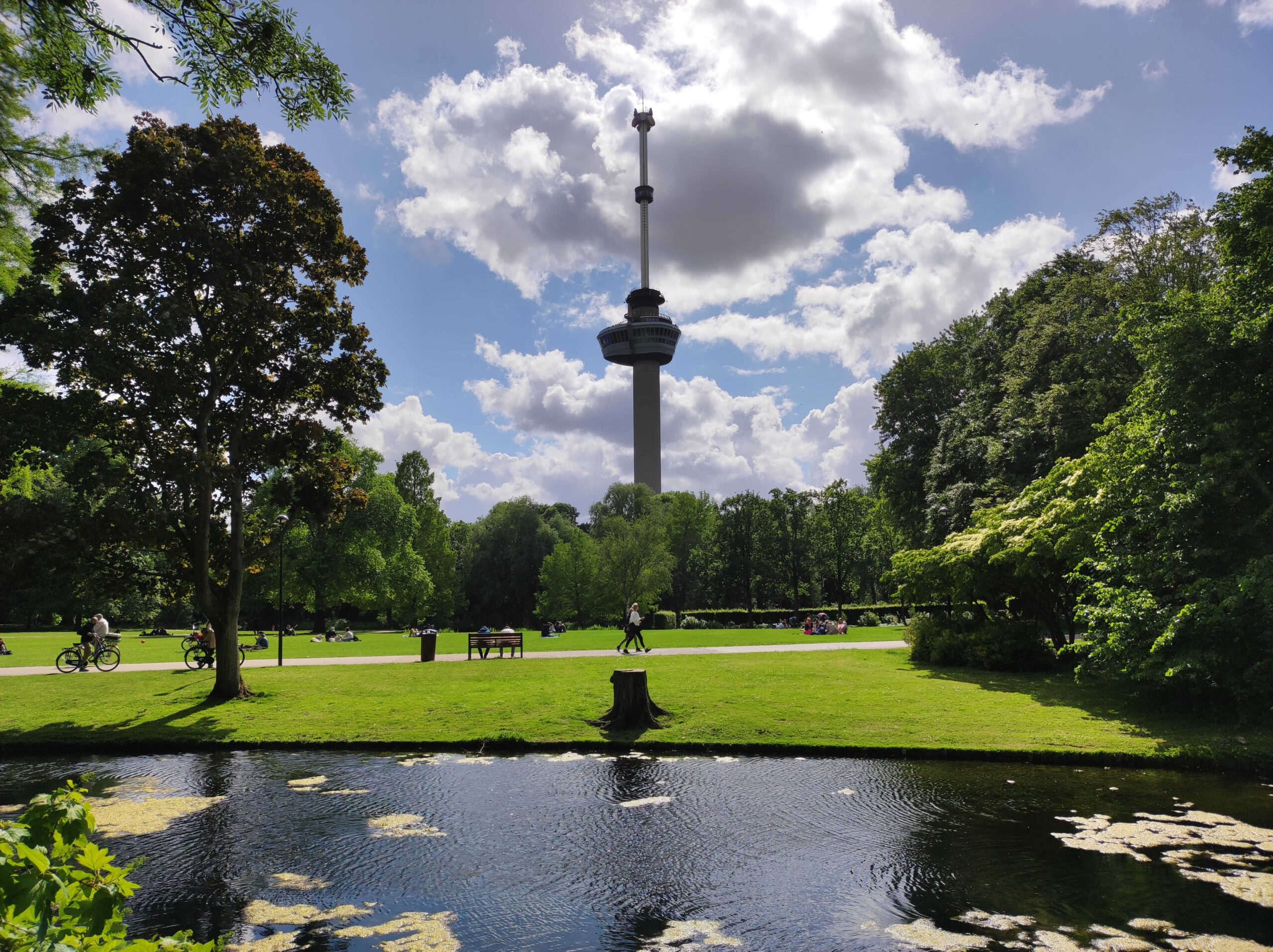 Qué ver en Holanda en 5 días - Roterdam