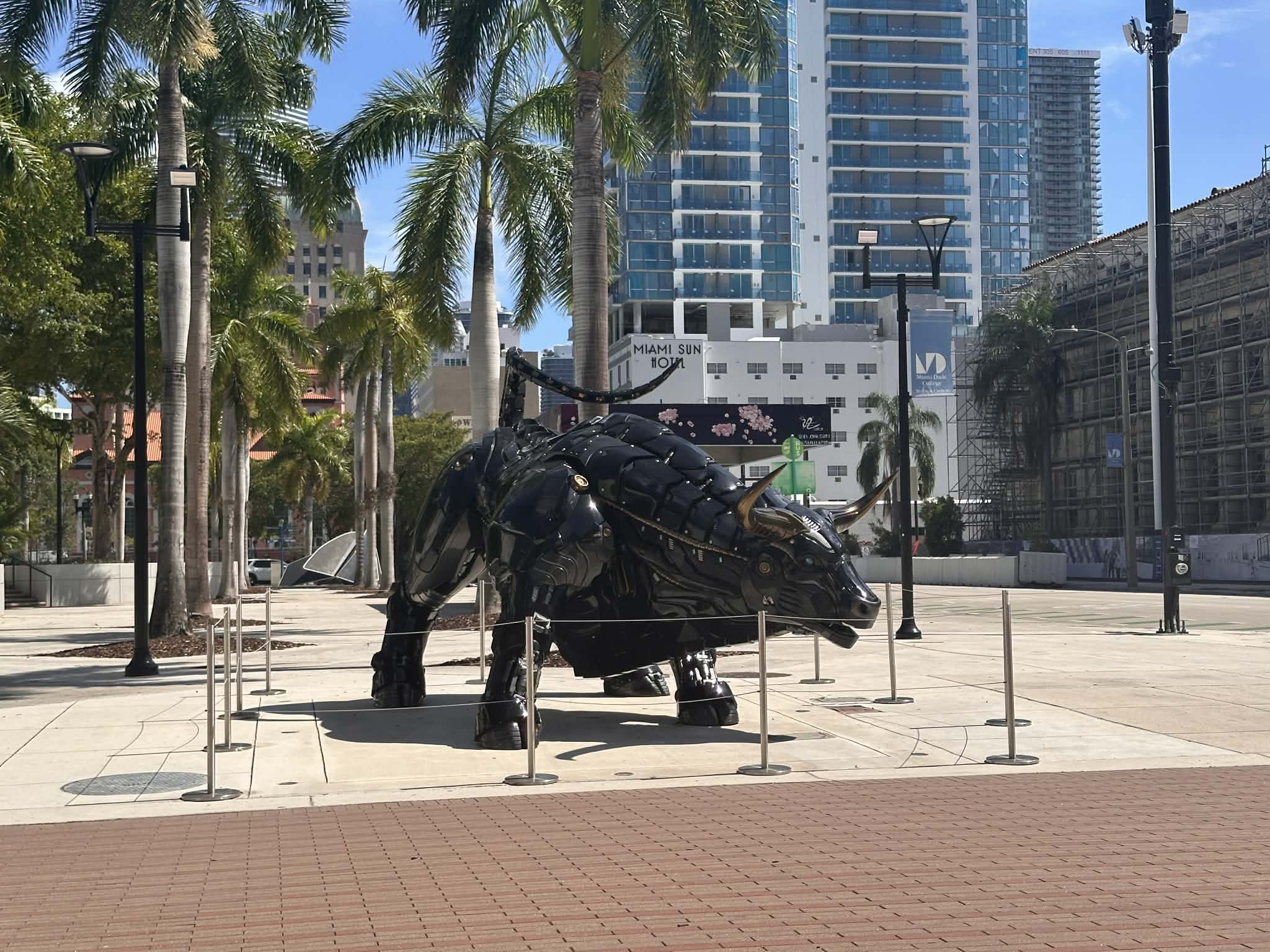 Miami Bull, toro de miami