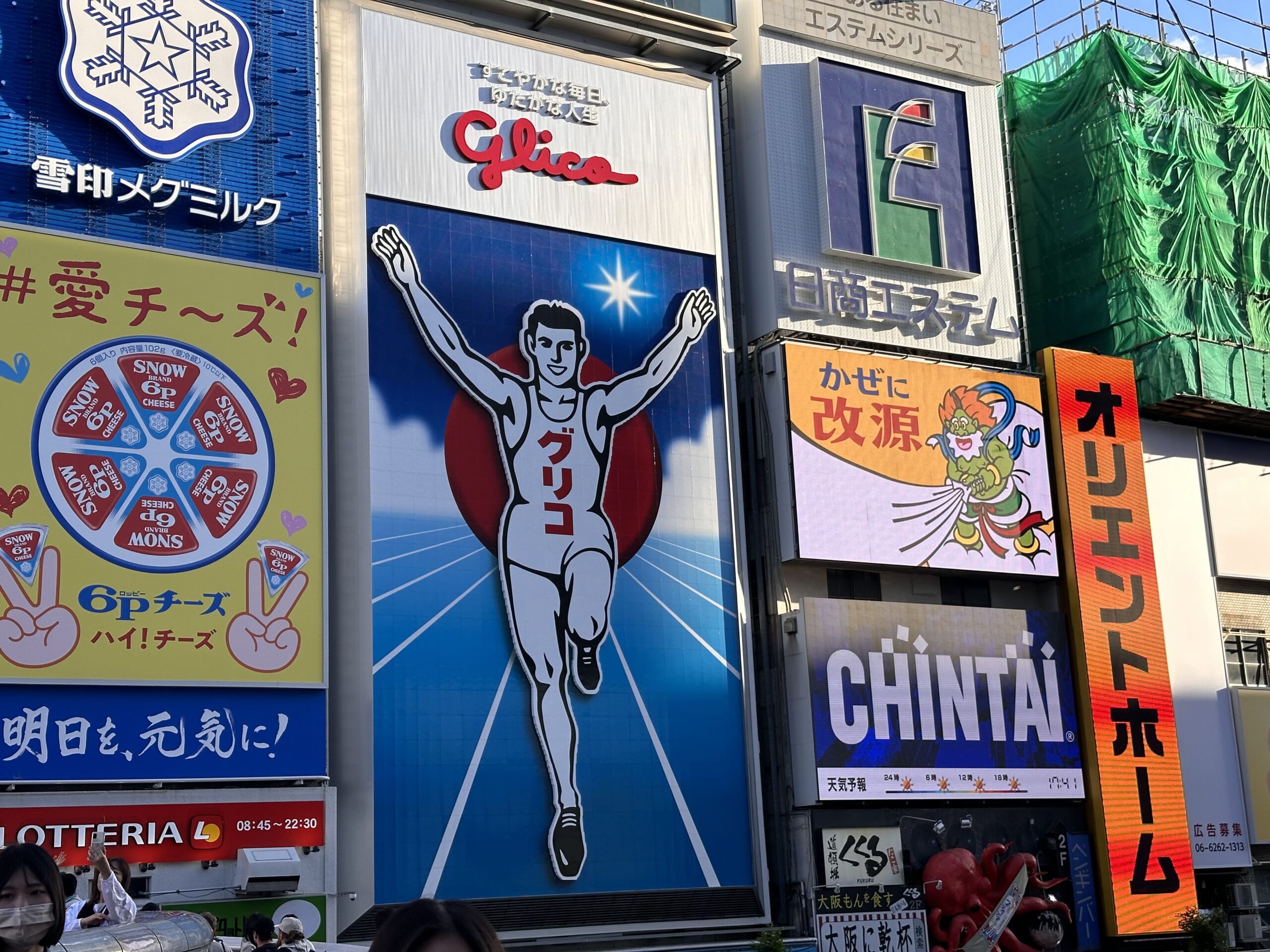 Visitar la Calle Dotonbori en Osaka: Guía Completa