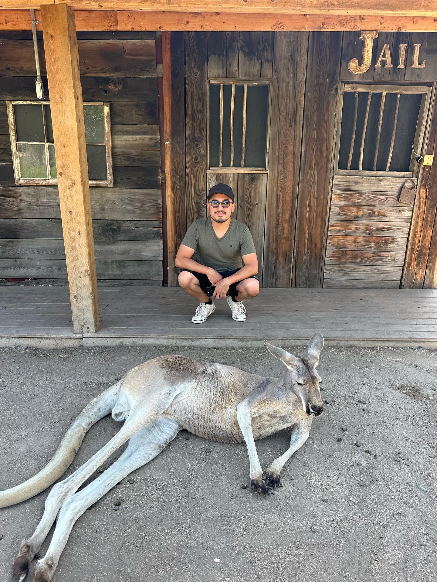 Foto junto a un Canguro
