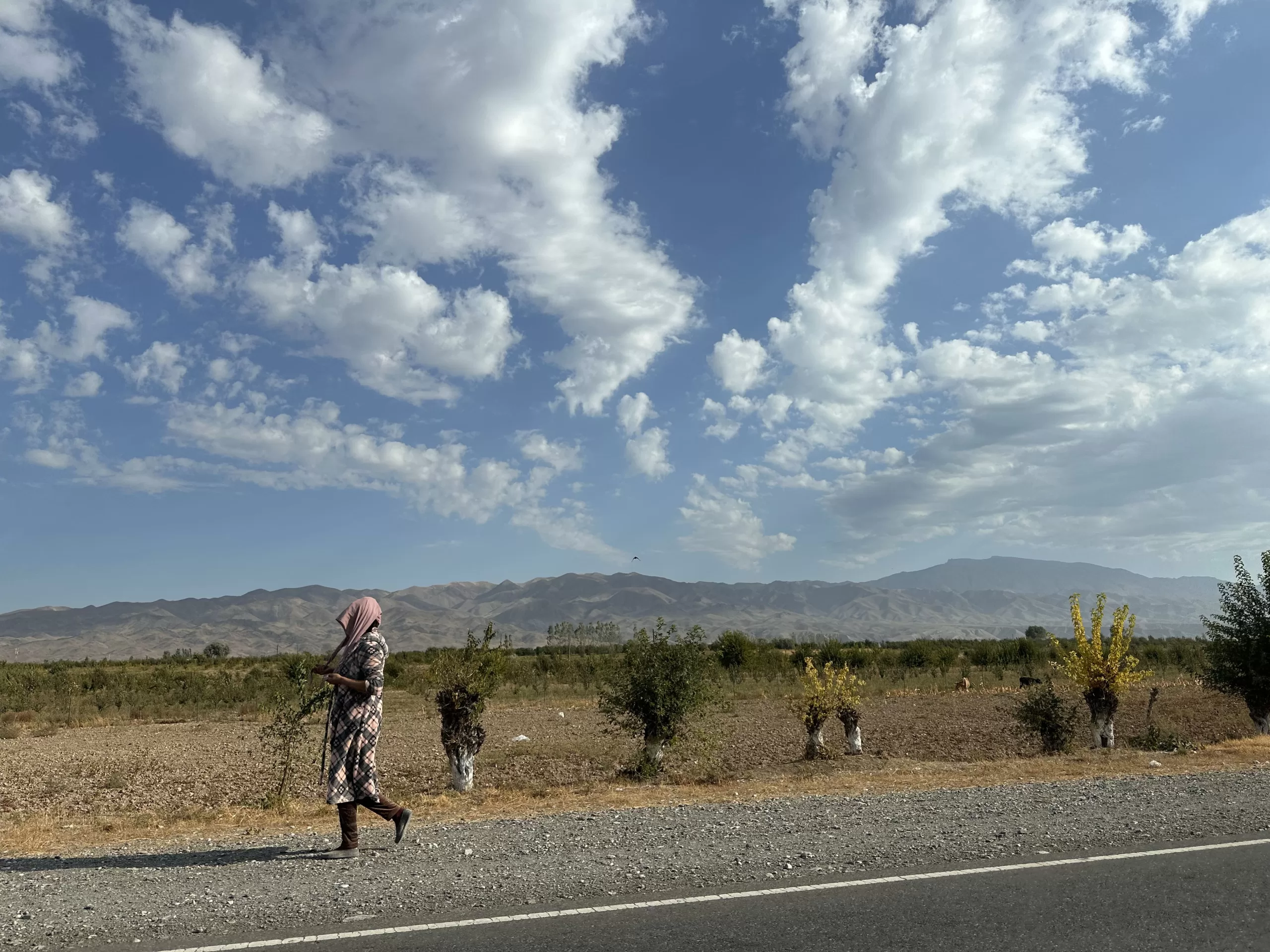 Places to Visit Panjakent in Central Asia - Places to Visit in Panjakent
