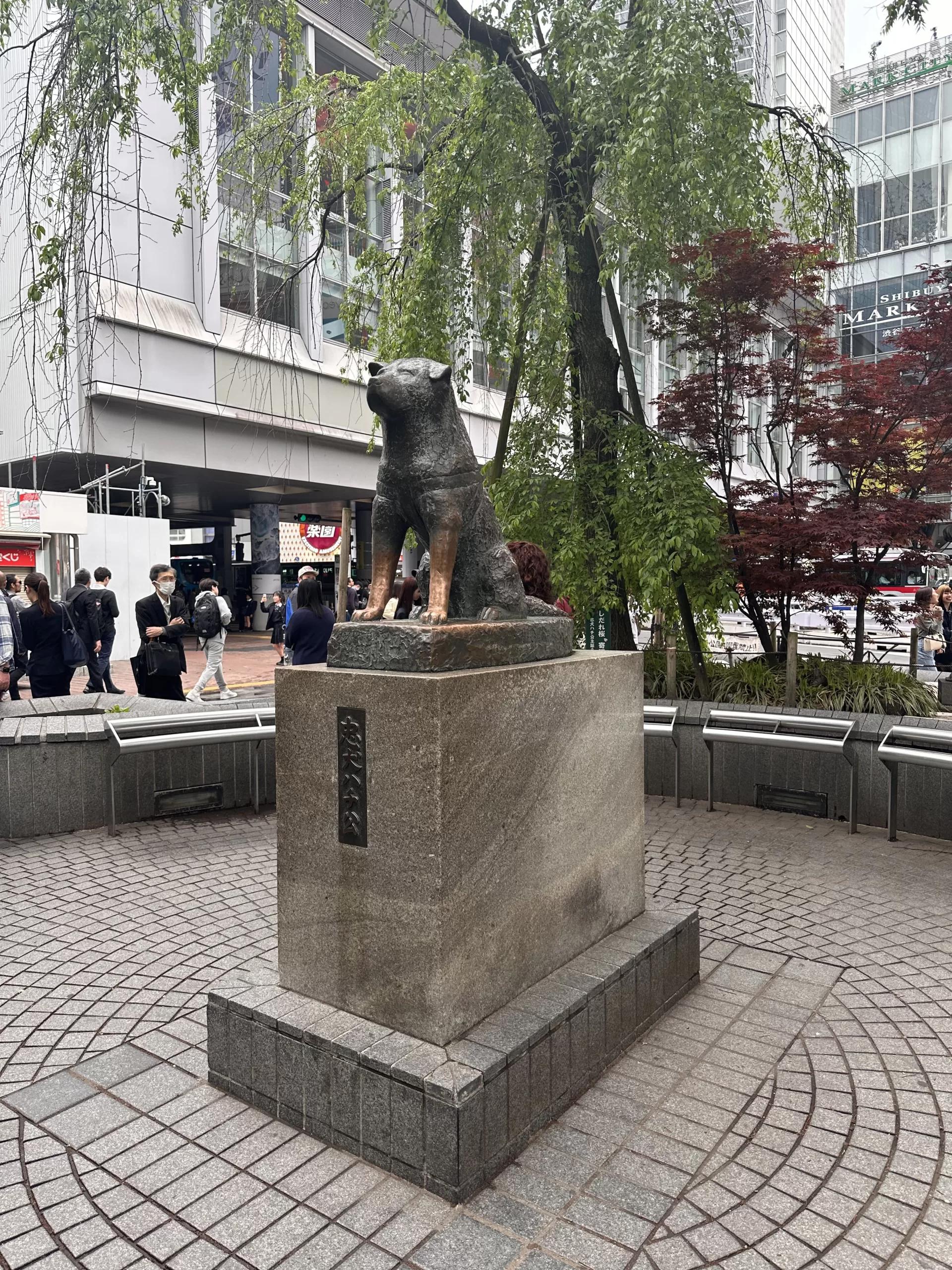 Visita la estatua de Hachiko en Tokio