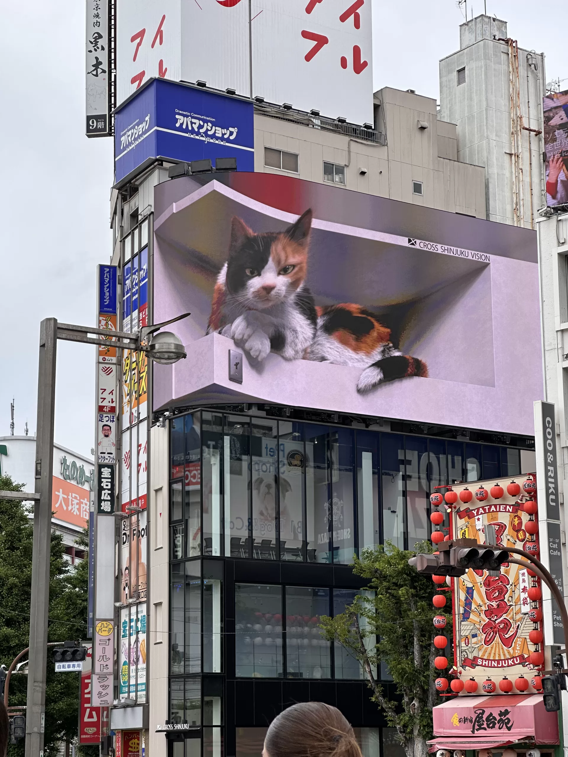 Pantalla con el Gato en Shinjuku