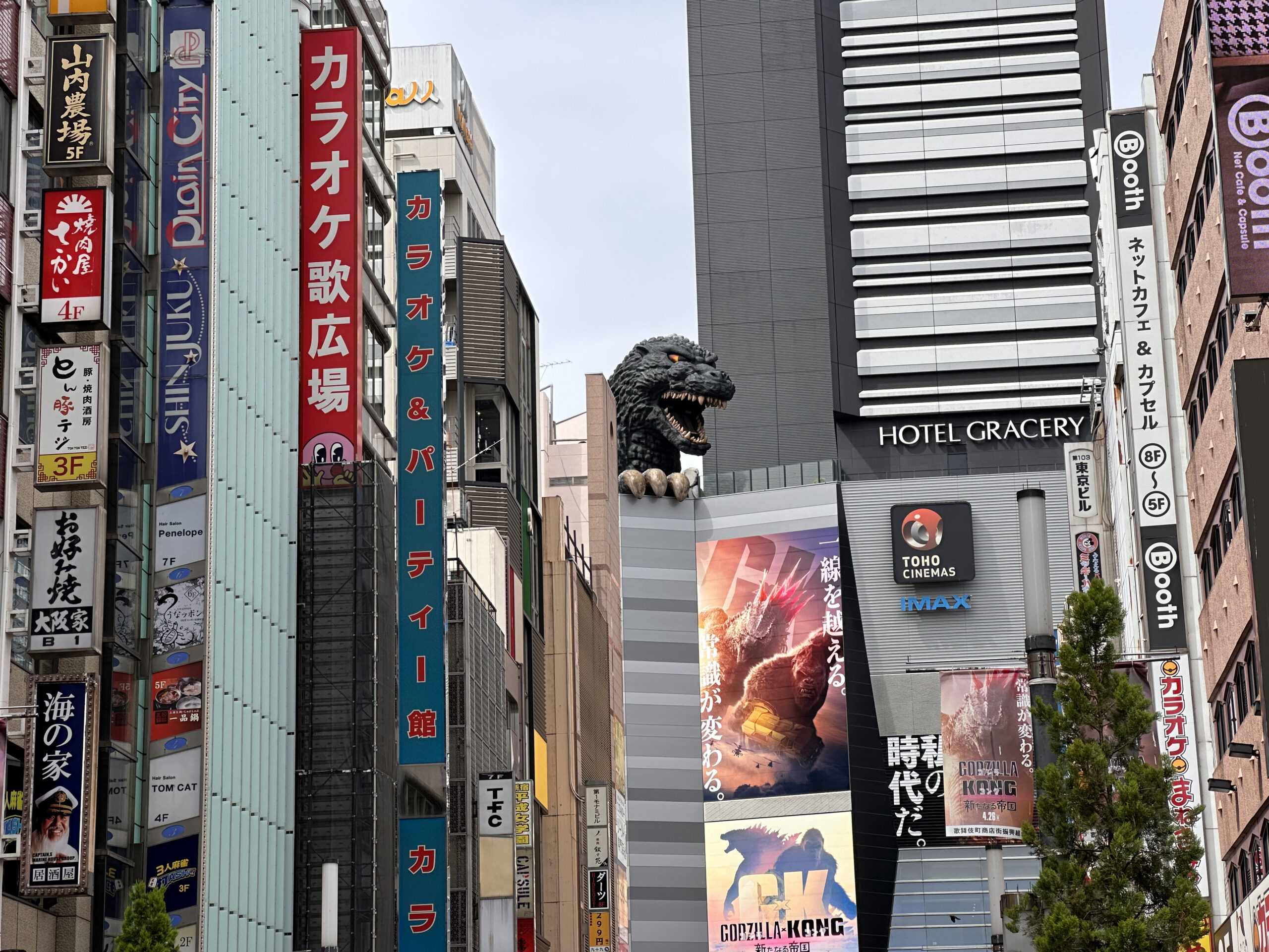 Guía de Shinjuku en Tokio: Guía Completa | Japón