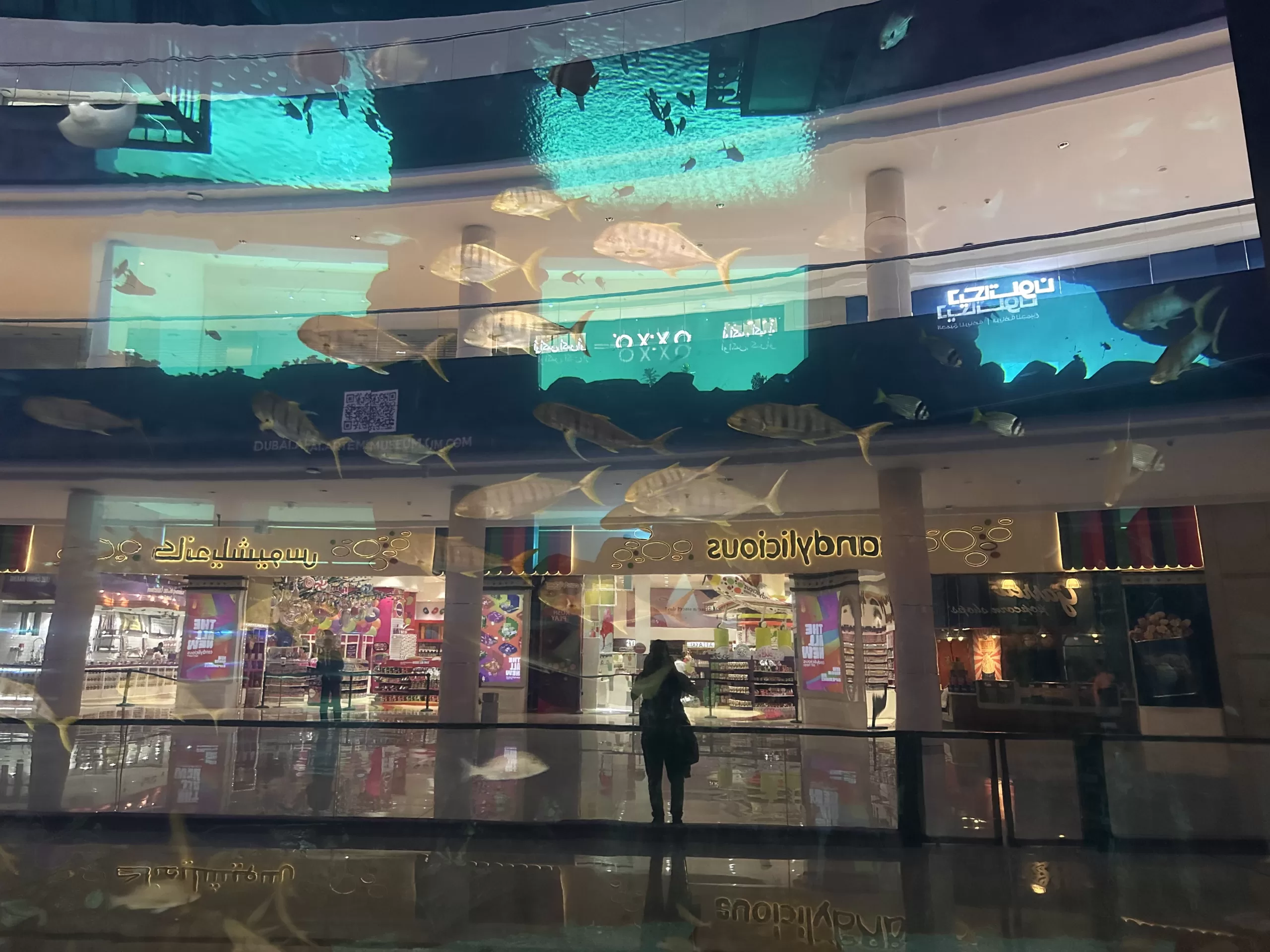 Acuario más grande del mundo en el Dubai mall