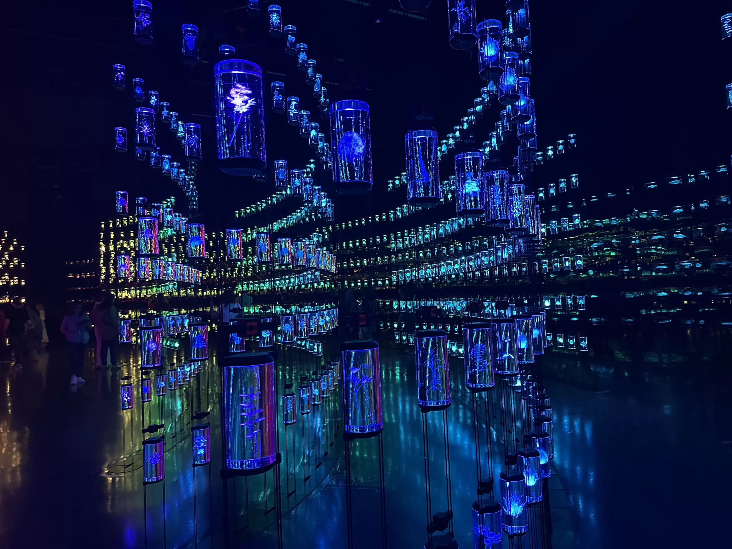 Exposición de los seres vivos en Dubai