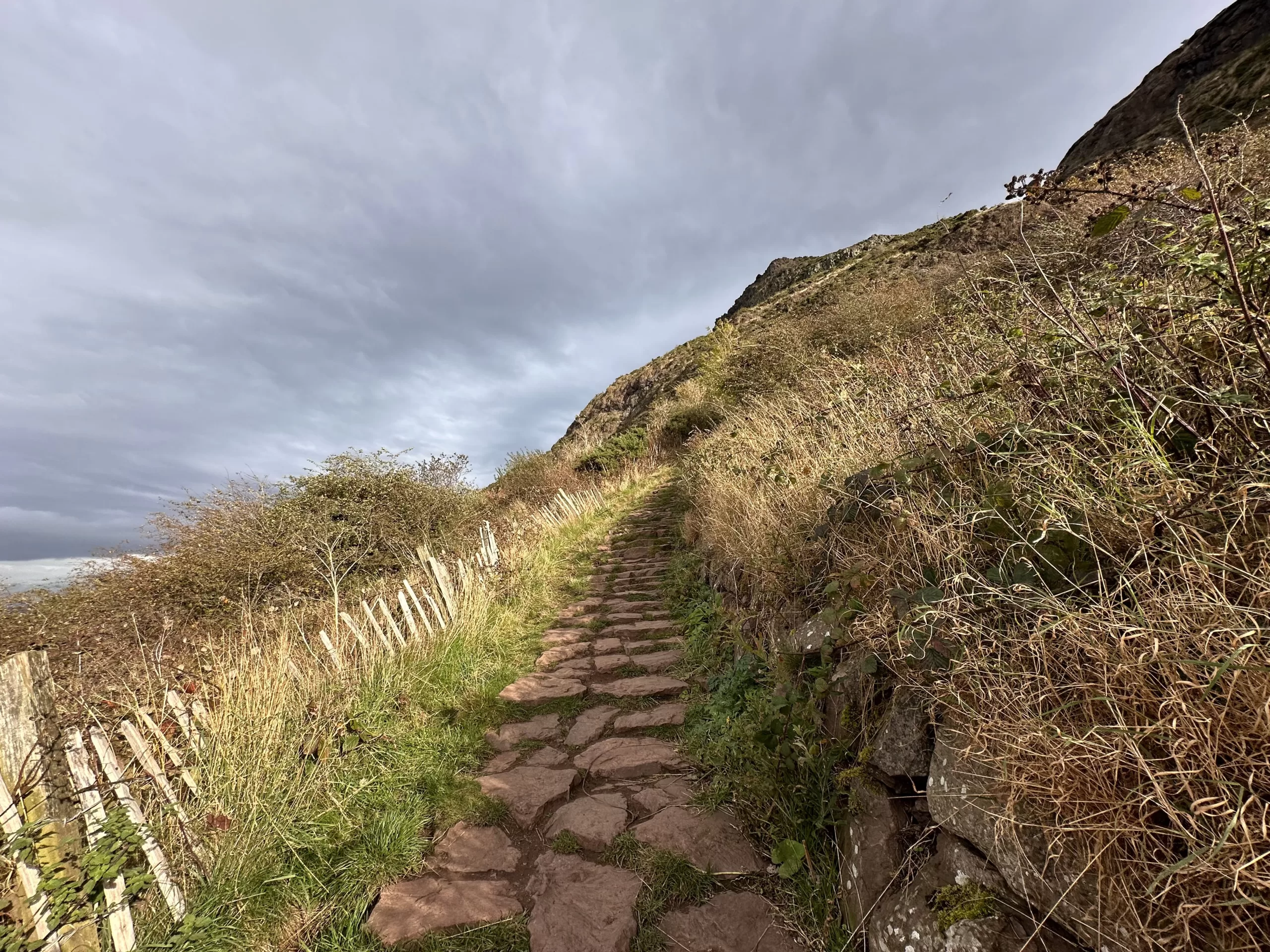 Visitar la naturaleza en las afueras de Edimburgo