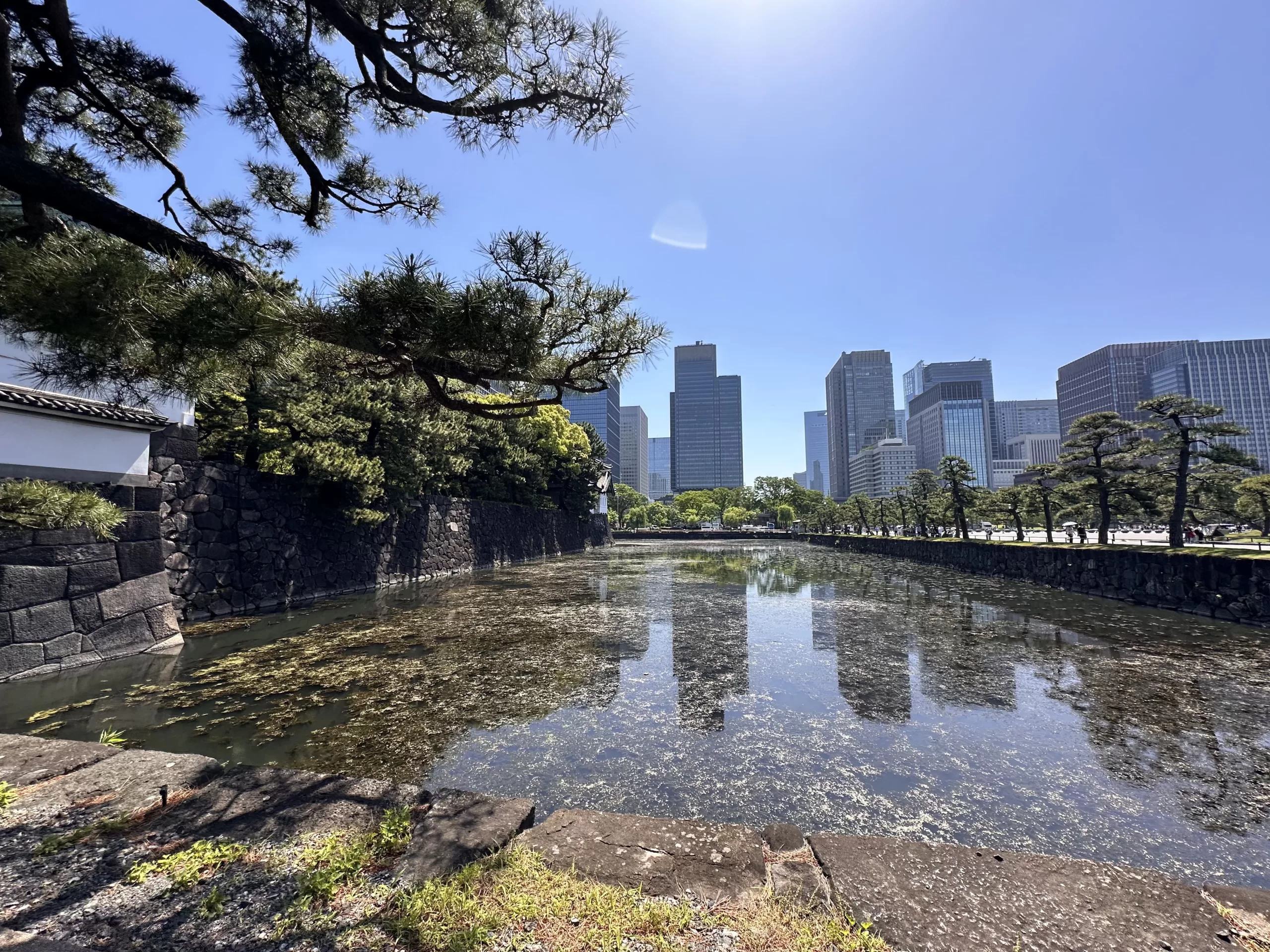 Cómo Llegar al Palacio Imperial de Tokio