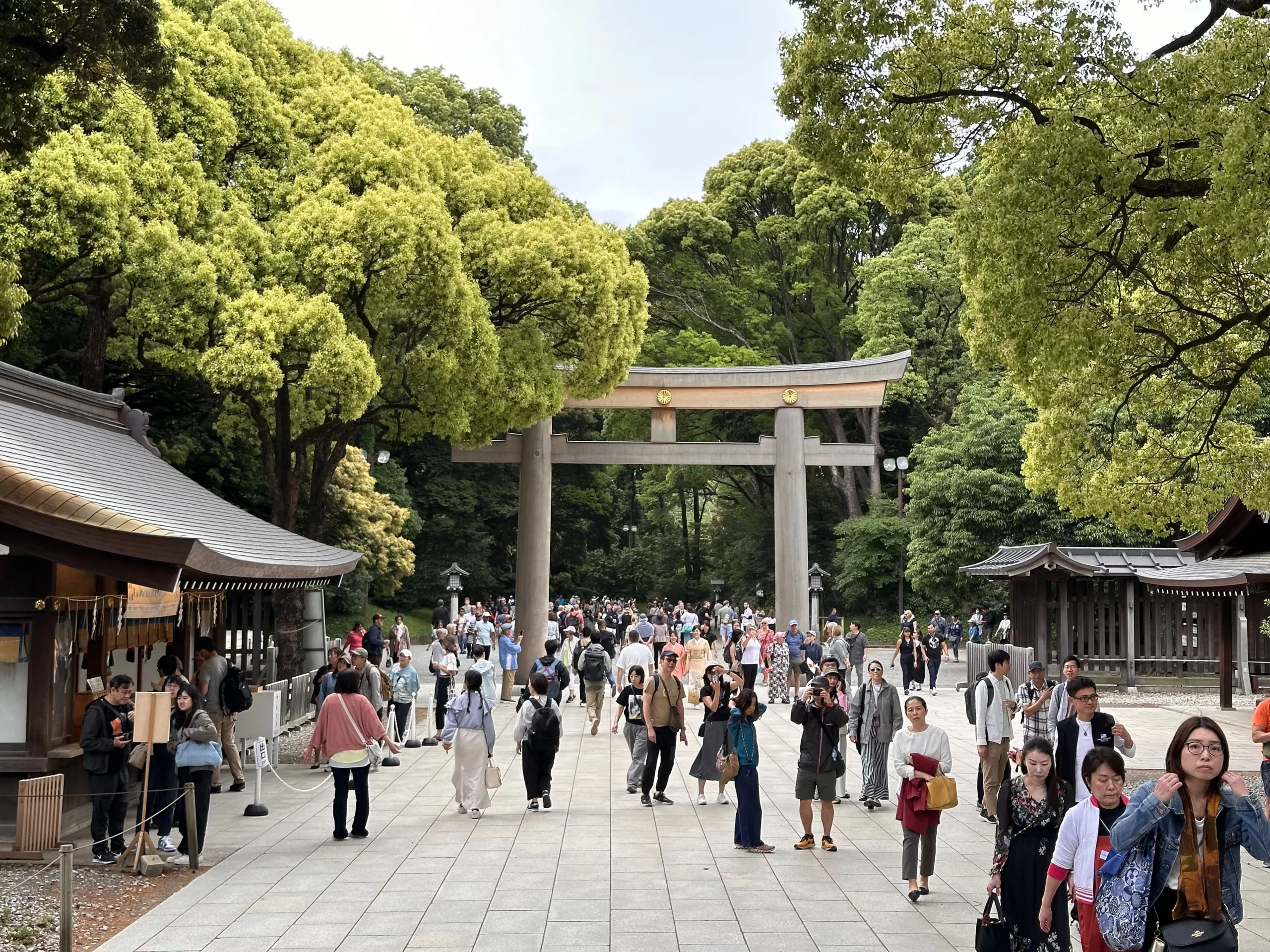 ¿Por qué Deberías Visitar el Santuario Meiji en Tokio?