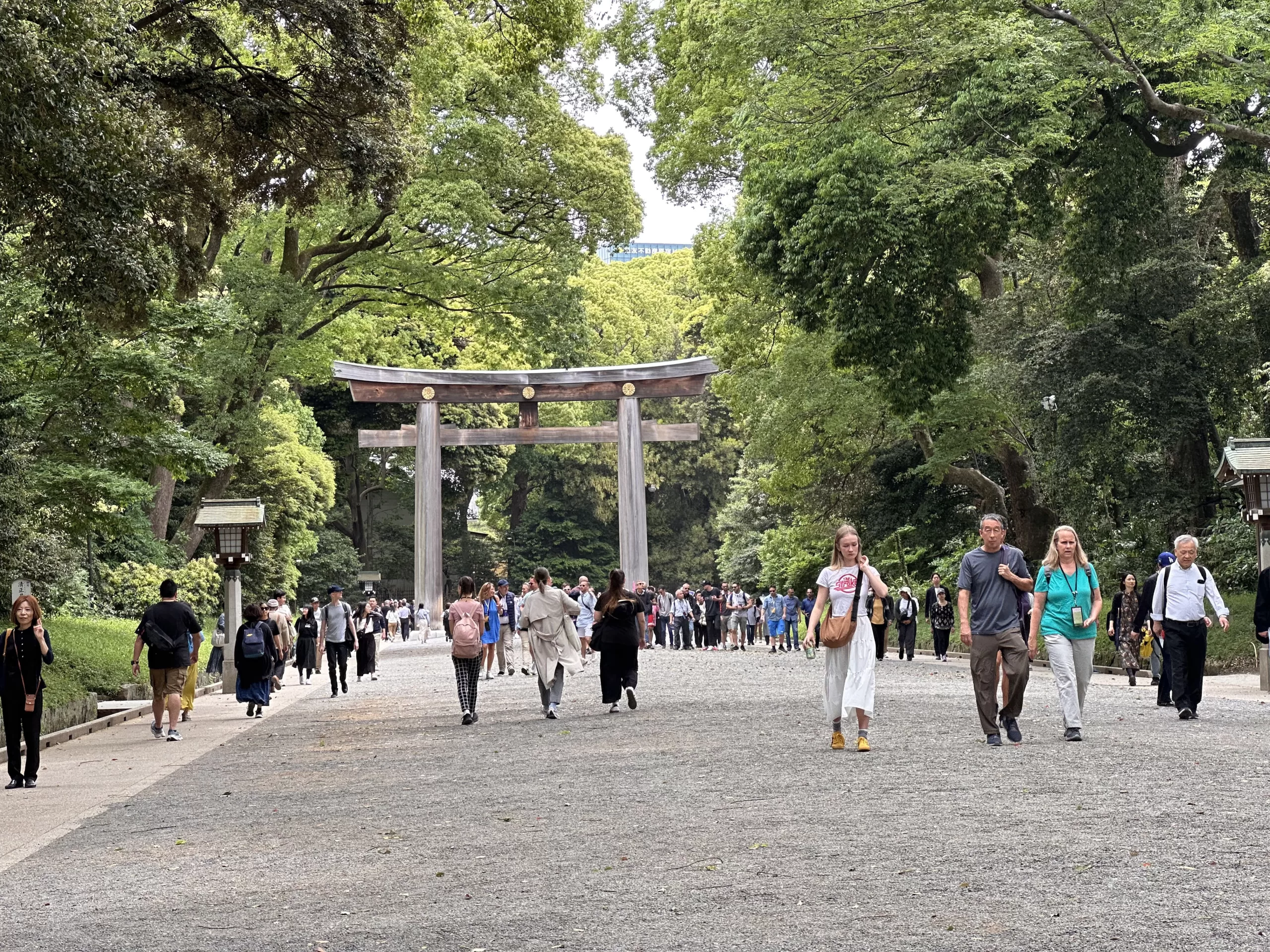Pasear por el bosque en el santuario Meiji