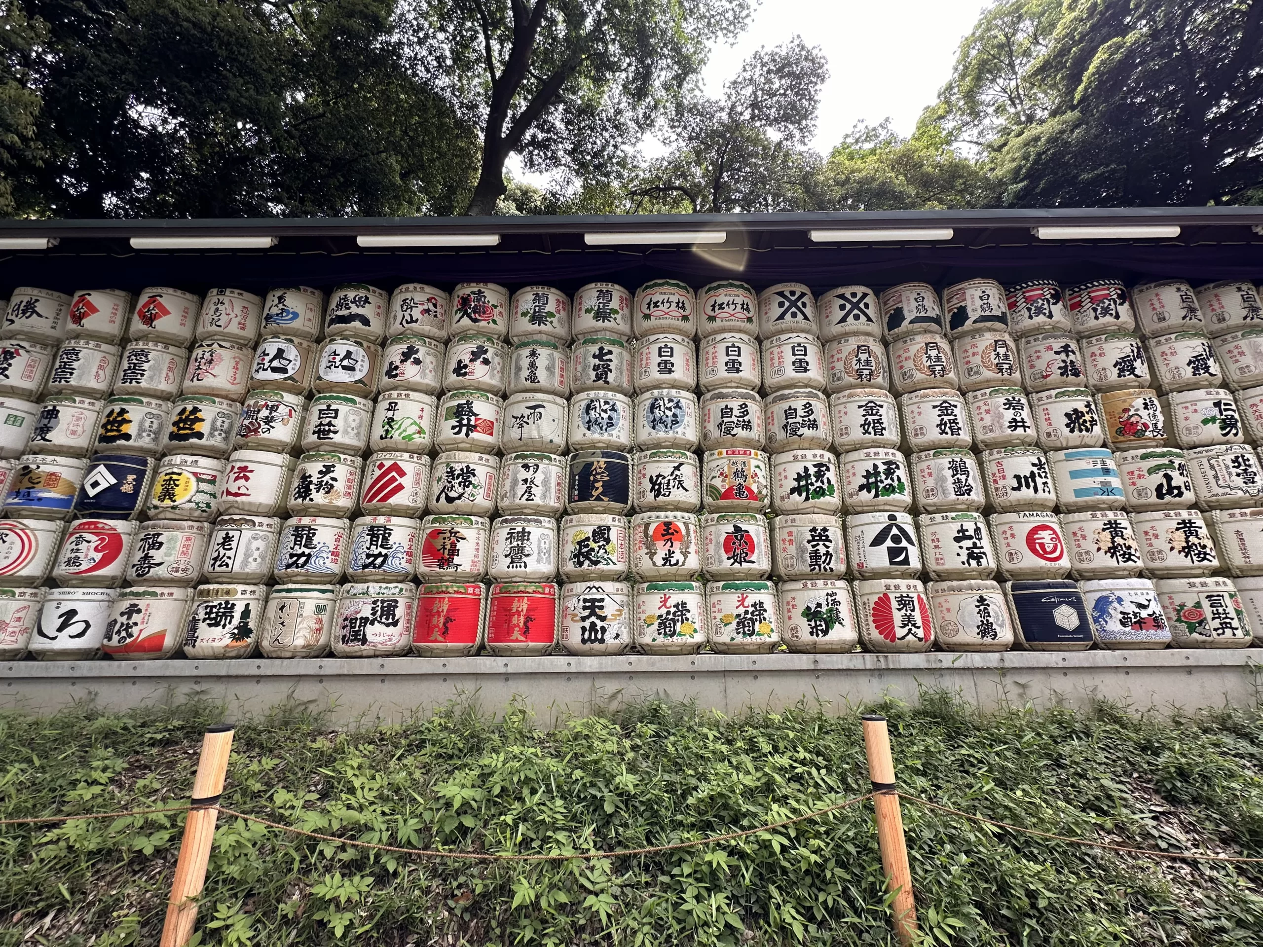 Visitar el Santuario Meiji en Tokio