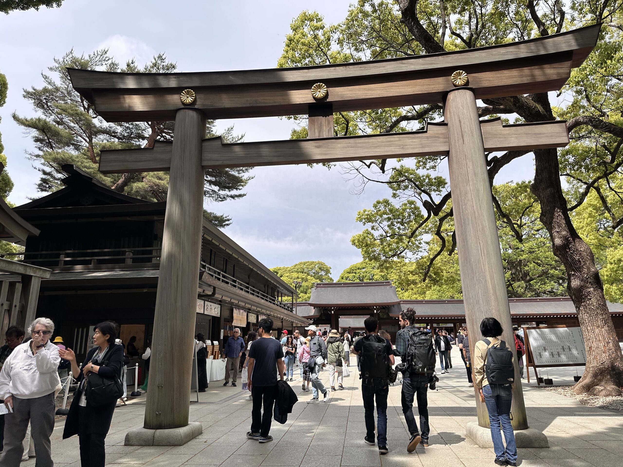 Visitar el Santuario Meiji en Tokio: Guía Completa | Japón