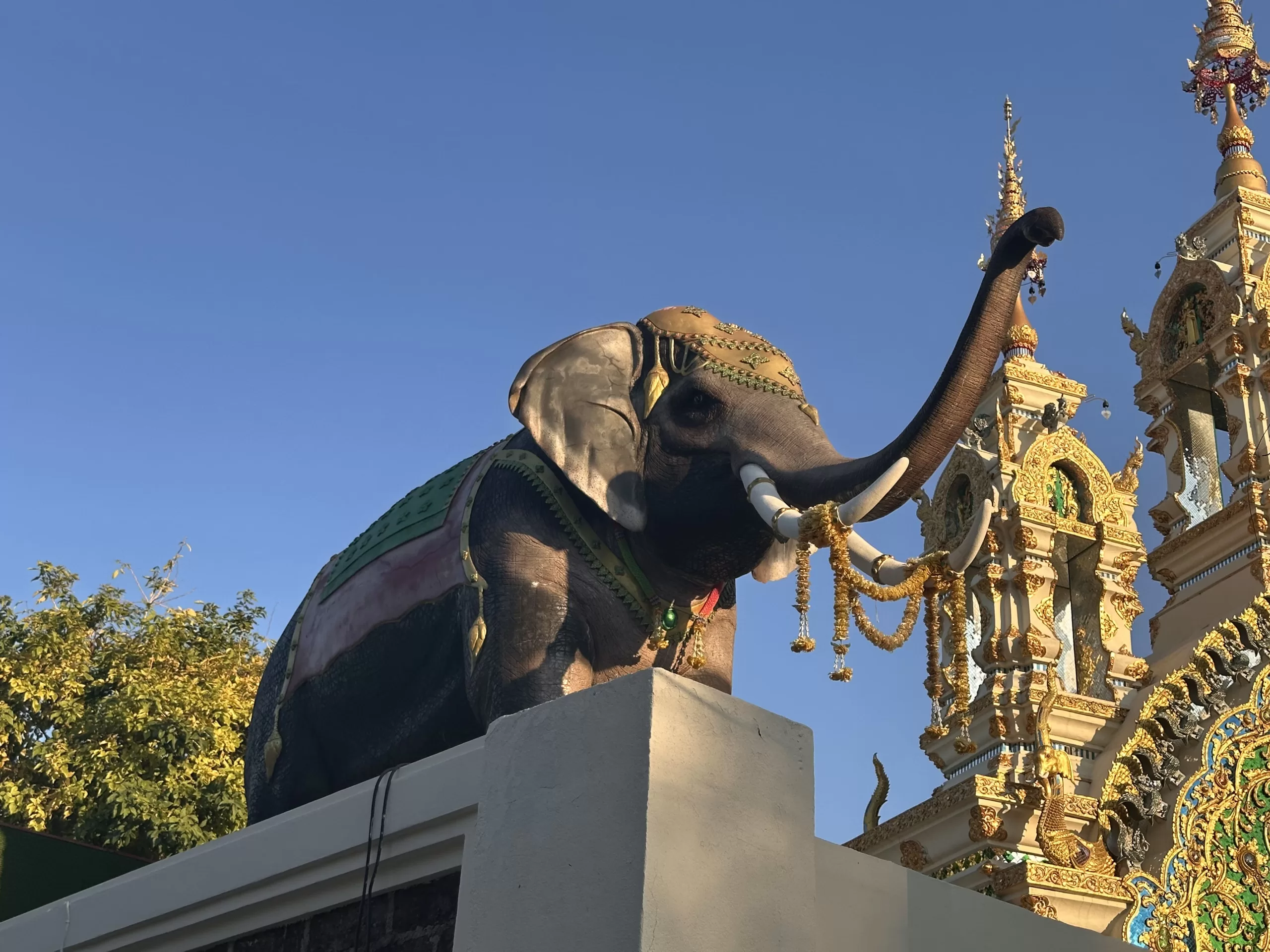 Elephant Nature Park: Encuentro Con los Elefantes