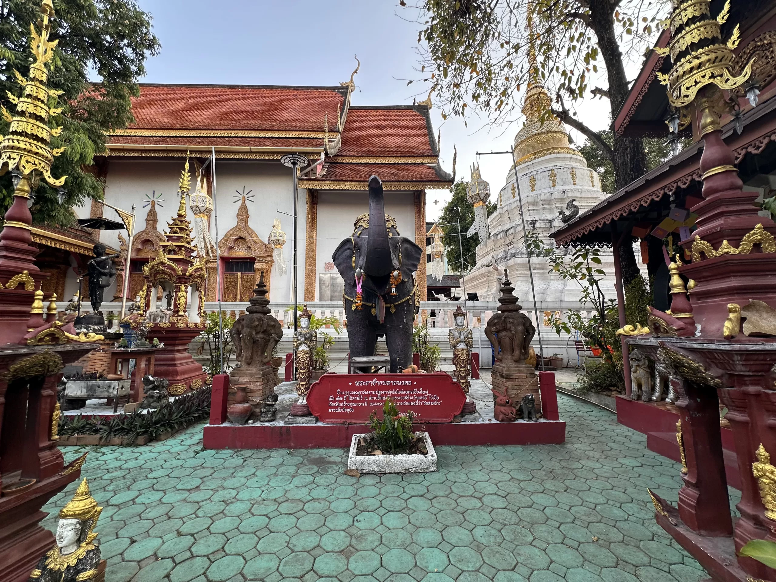 Santuario de elefantes en Chiang Mai