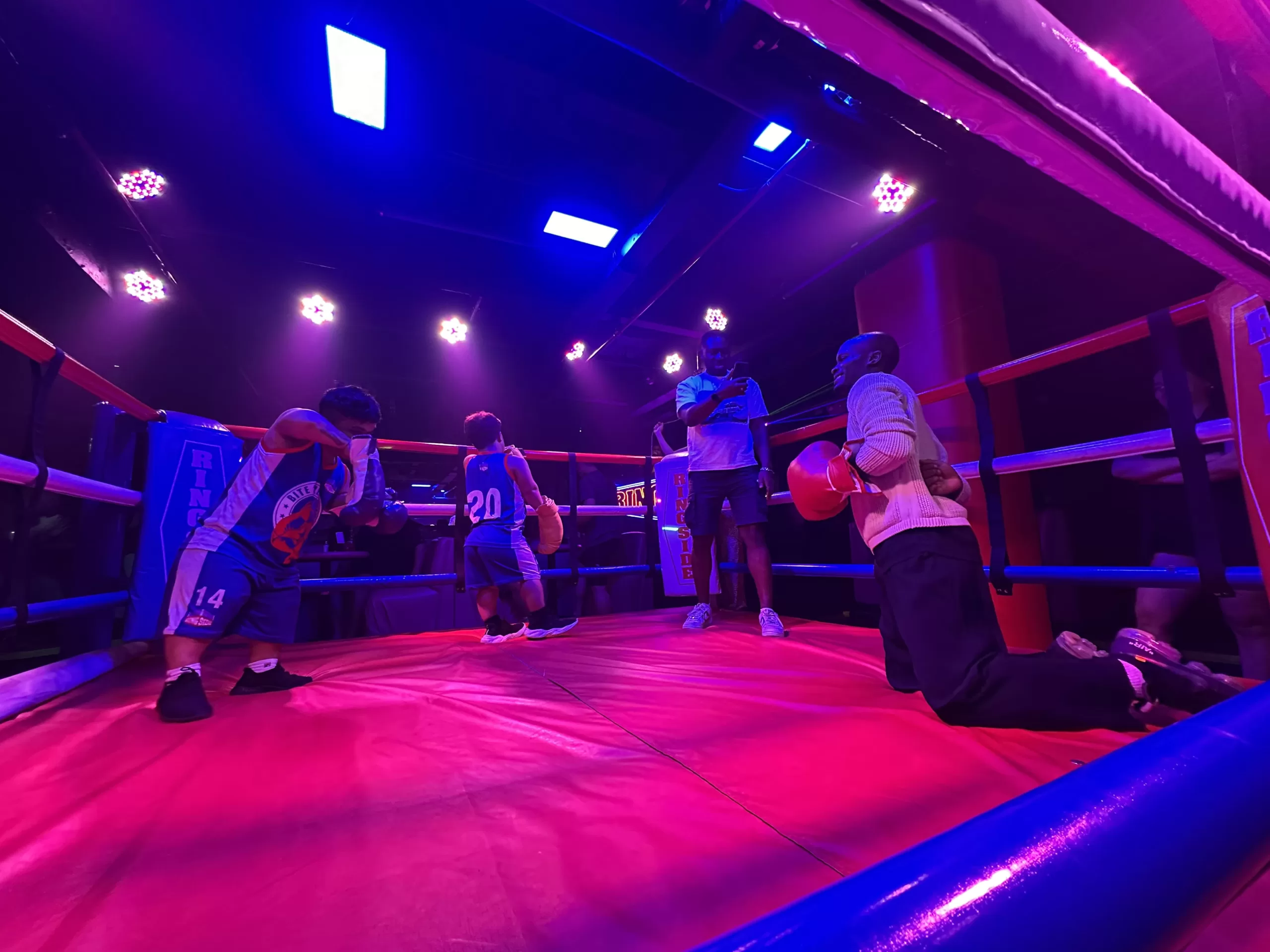 Asistir a un Midget Boxing