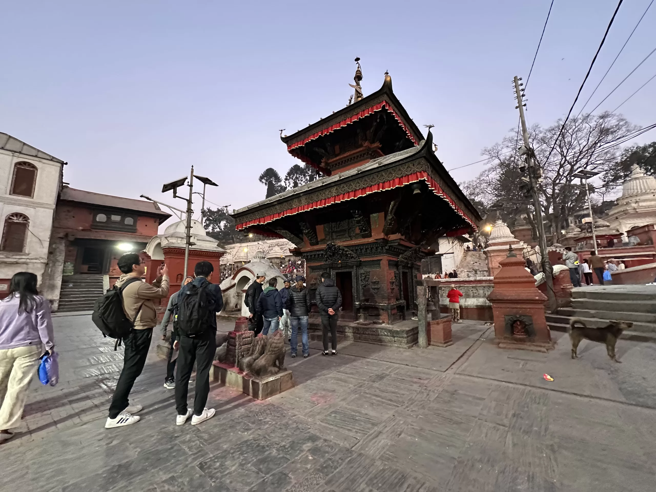Visitar el Templo Pashupatinath en Nepal