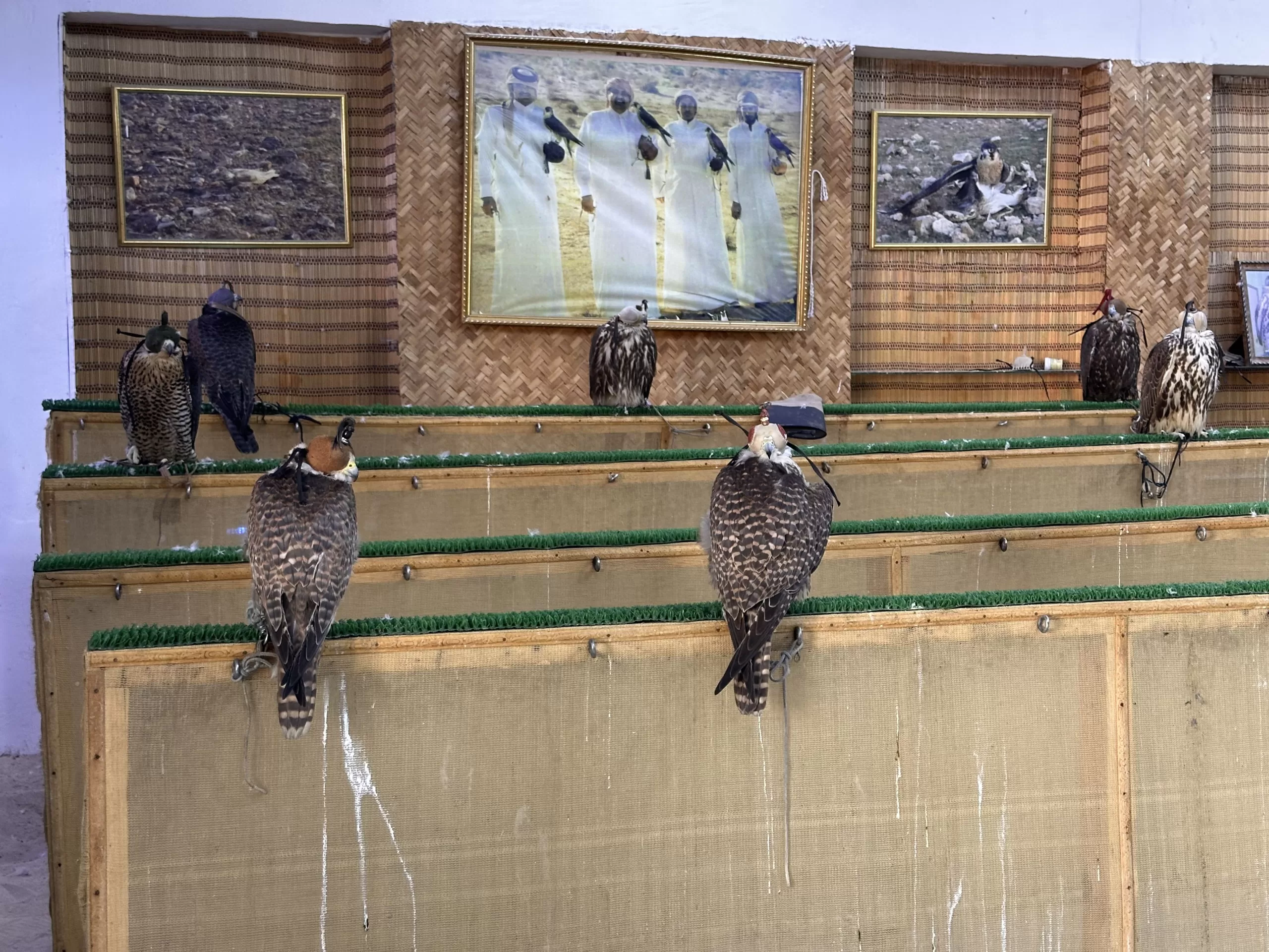 Mercado de Halcones del Souq Waqif
