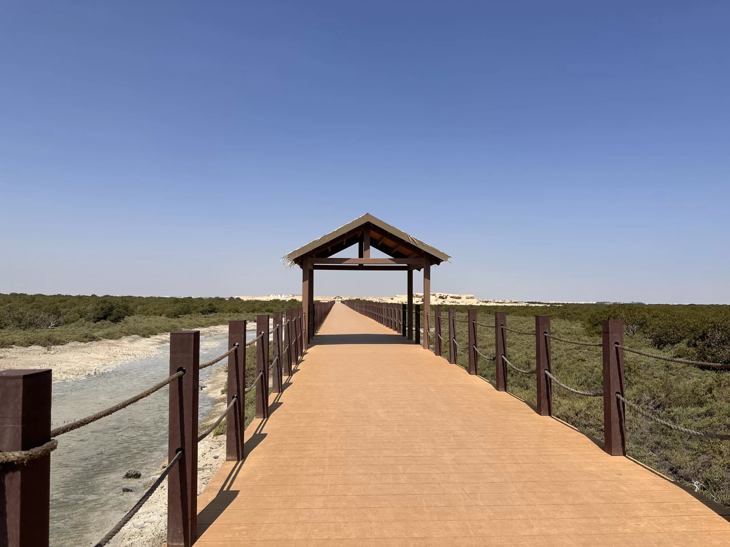 Isla purpura en los manglares de Catar