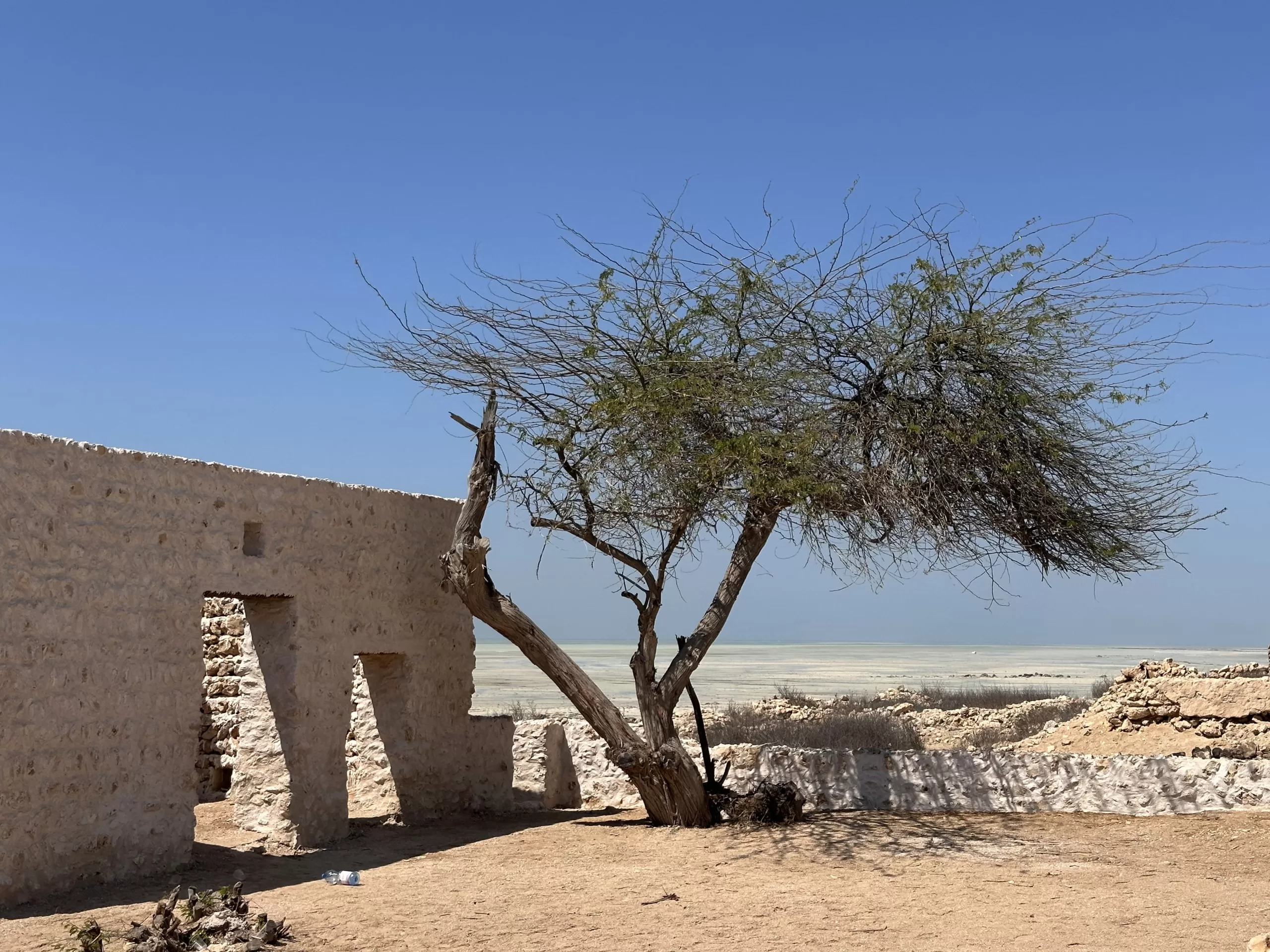 Visitar el desierto del norte de Catar