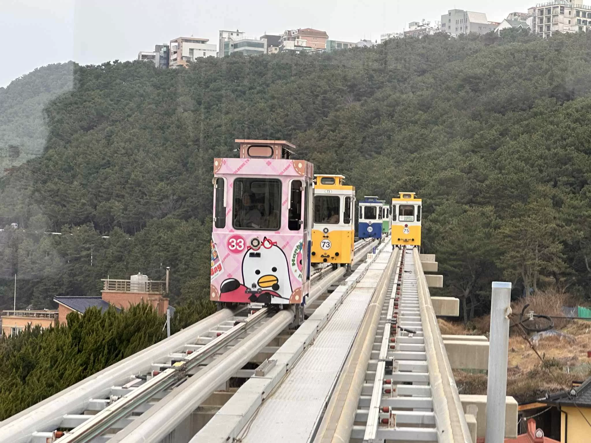 Places to Visit in Busan: The Coastal City That Has It All