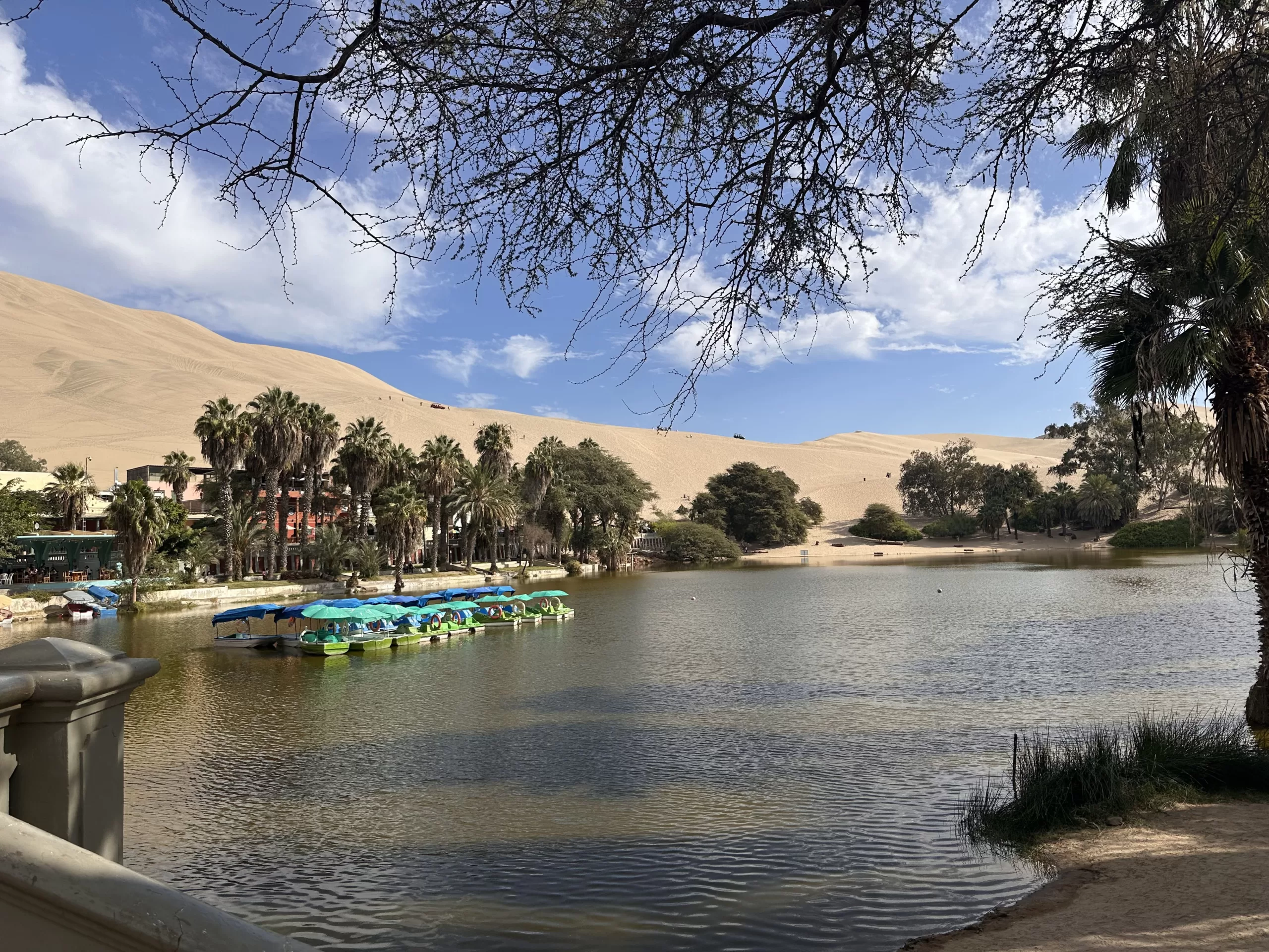 Explora el Oasis de Huacachina
