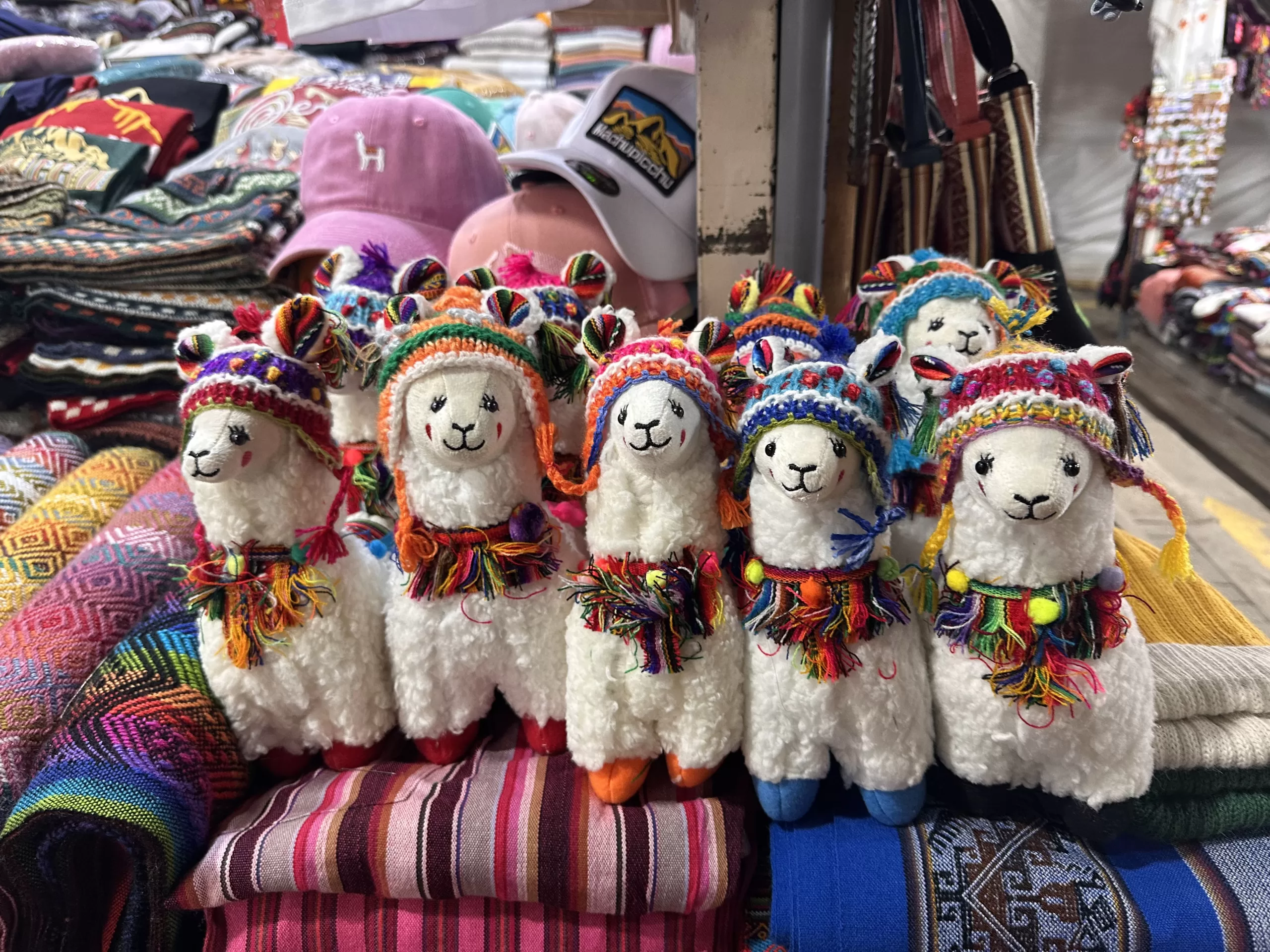 Visitando el mercado de la ciudad