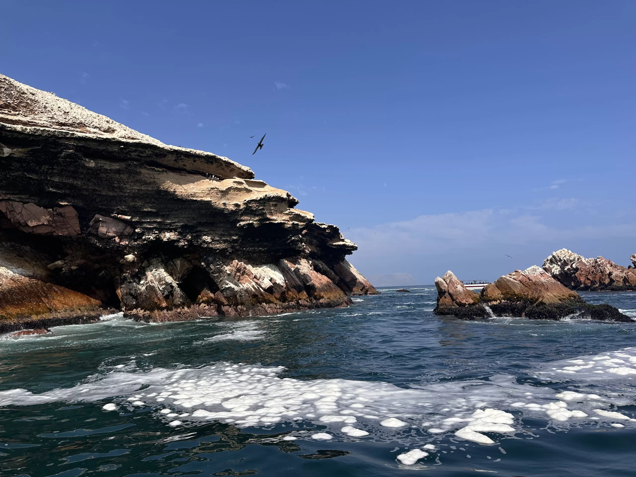 Qué ver en Paracas: La guía completa para descubrir este paraíso costero