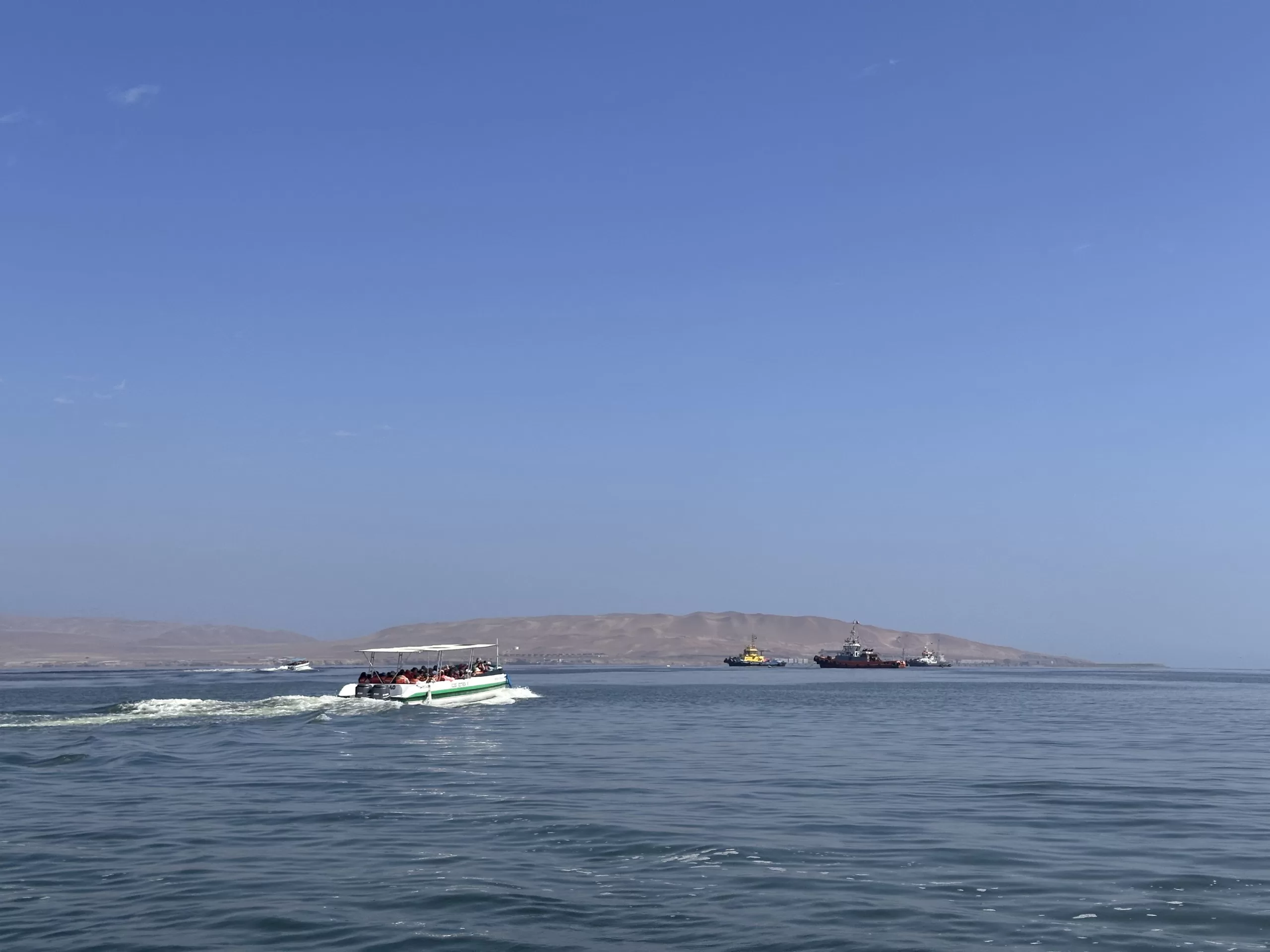 Tour en bote a las Islas Ballestas