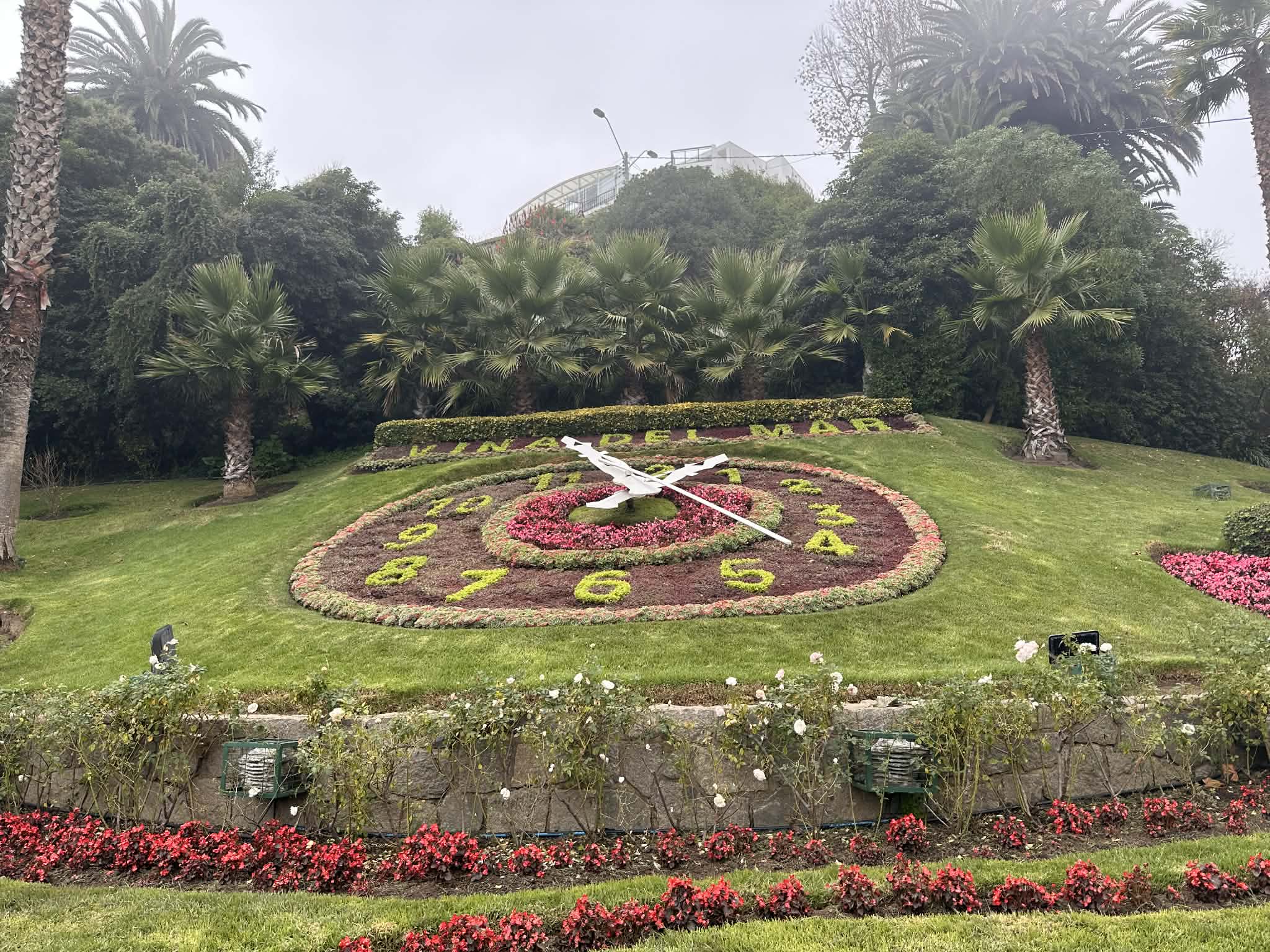 Qué ver en Viña del Mar: Lugares Imprescindibles | Chile