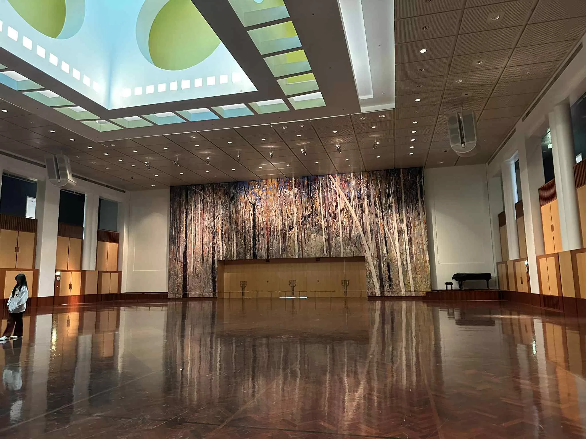 Interior del parlamento de australia en canberra